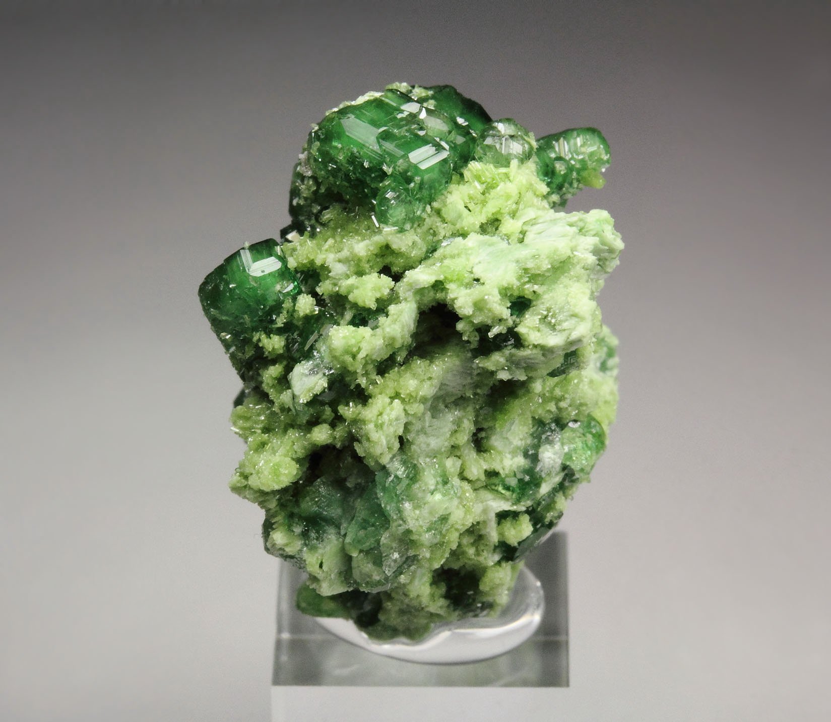 gem GARNET var. GROSSULAR var. CHROMIAN, DIOPSIDE