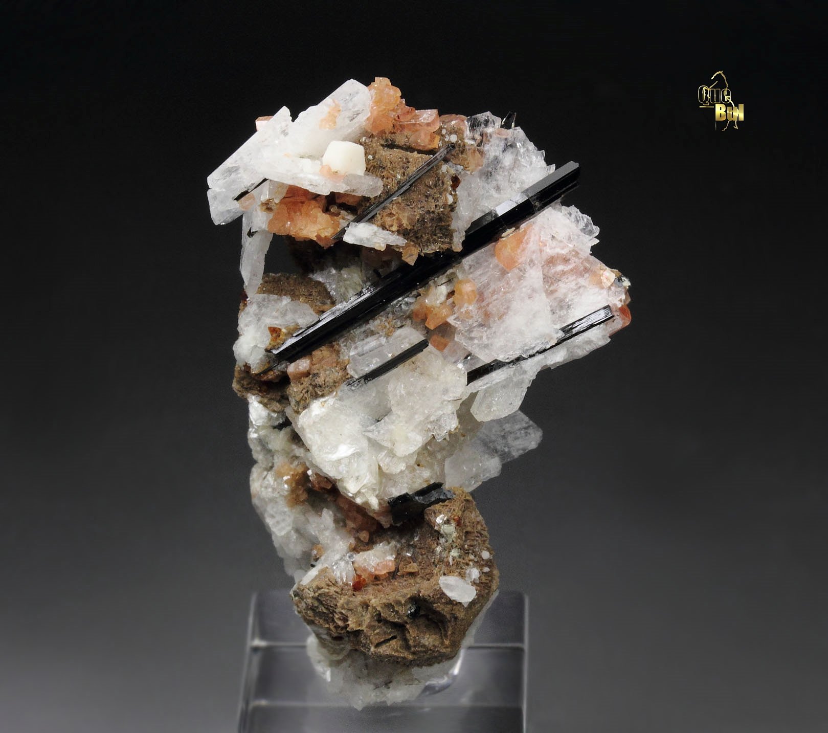 SERANDITE, ALBITE, EPIDIDYMITE, AEGIRINE, CATAPLEIITE pseudomorph, MANGANONEPTUNITE, POLYLITHIONITE