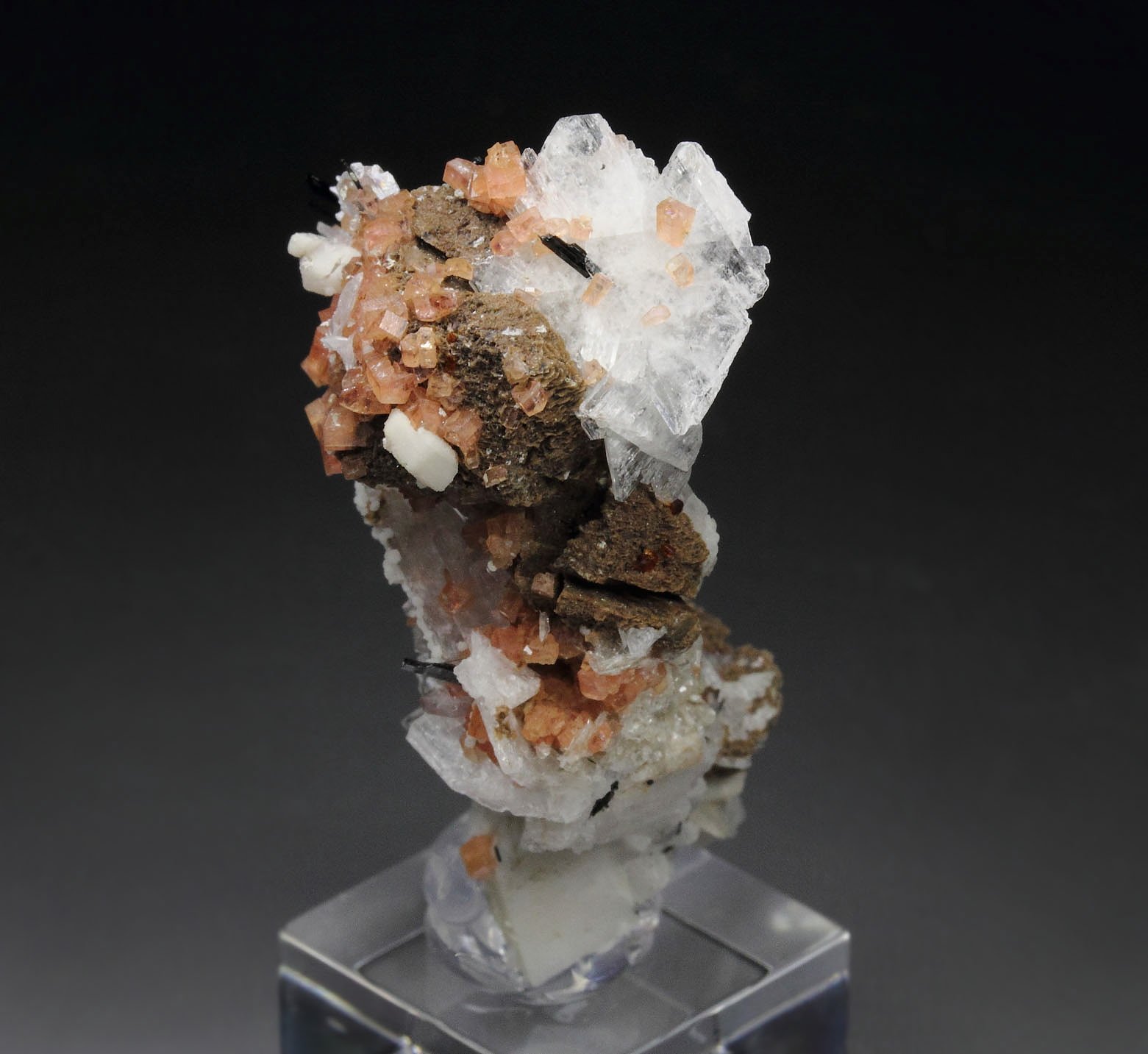 SERANDITE, ALBITE, EPIDIDYMITE, AEGIRINE, CATAPLEIITE pseudomorph, MANGANONEPTUNITE, POLYLITHIONITE