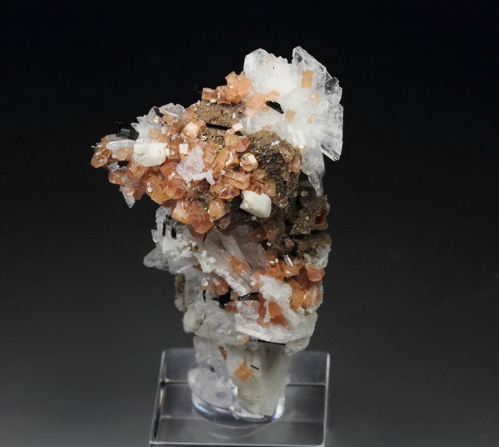 SERANDITE, ALBITE, EPIDIDYMITE, AEGIRINE, CATAPLEIITE pseudomorph, MANGANONEPTUNITE, POLYLITHIONITE