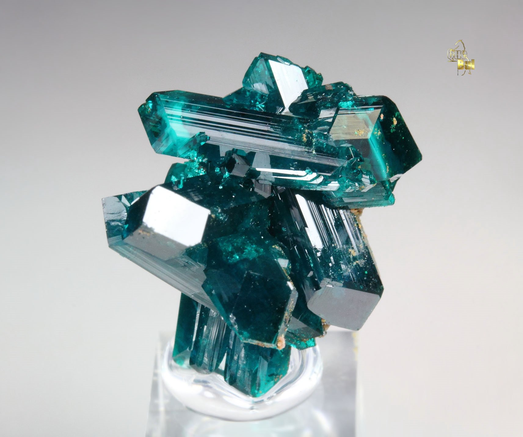 new find - gemmy DIOPTASE bi-terminated