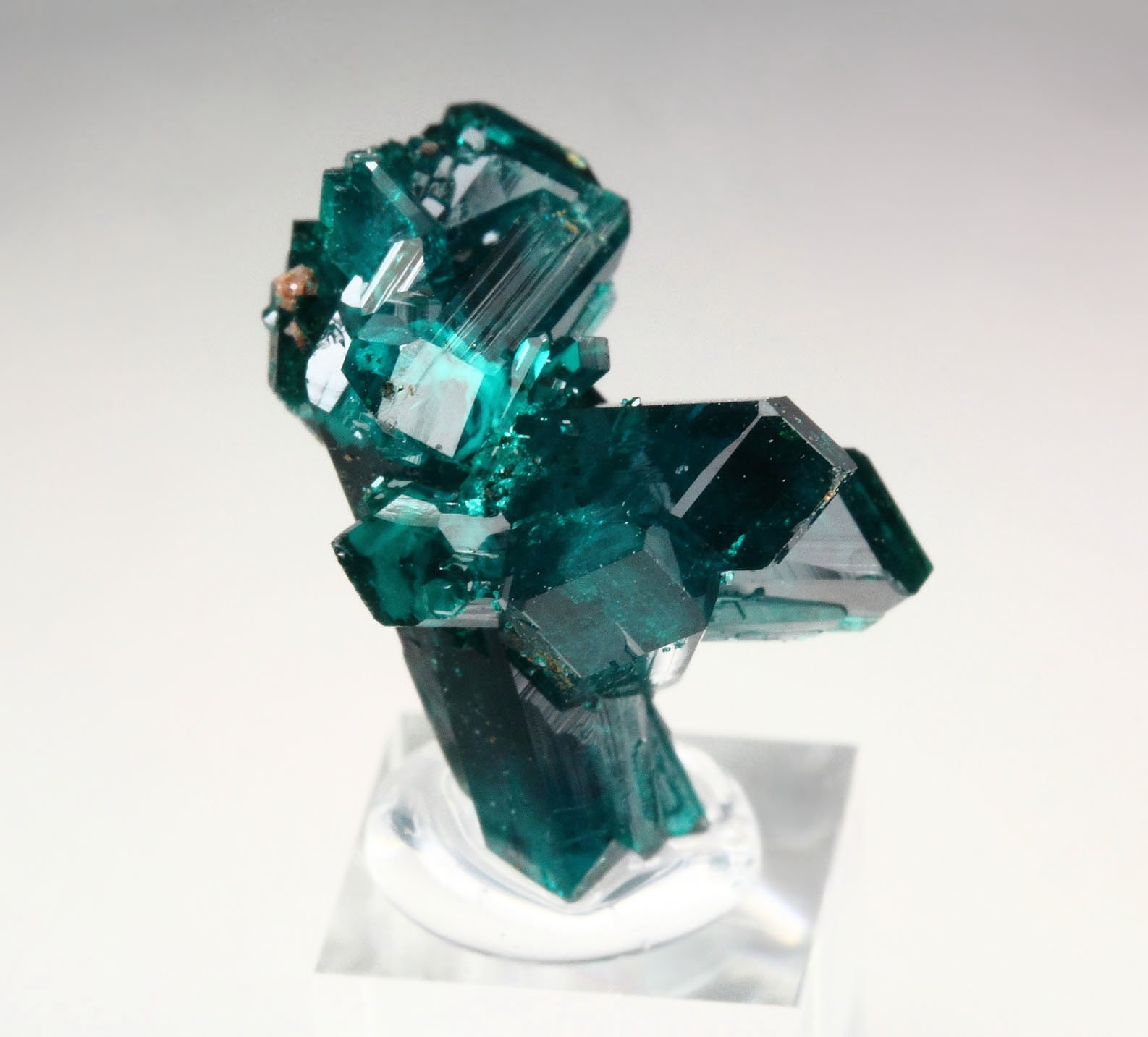 new find - gemmy DIOPTASE bi-terminated