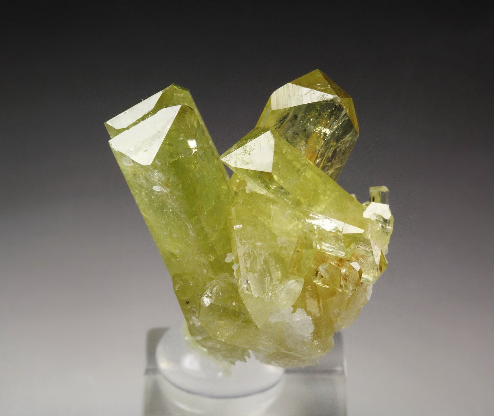 gem BRAZILIANITE, ALBITE