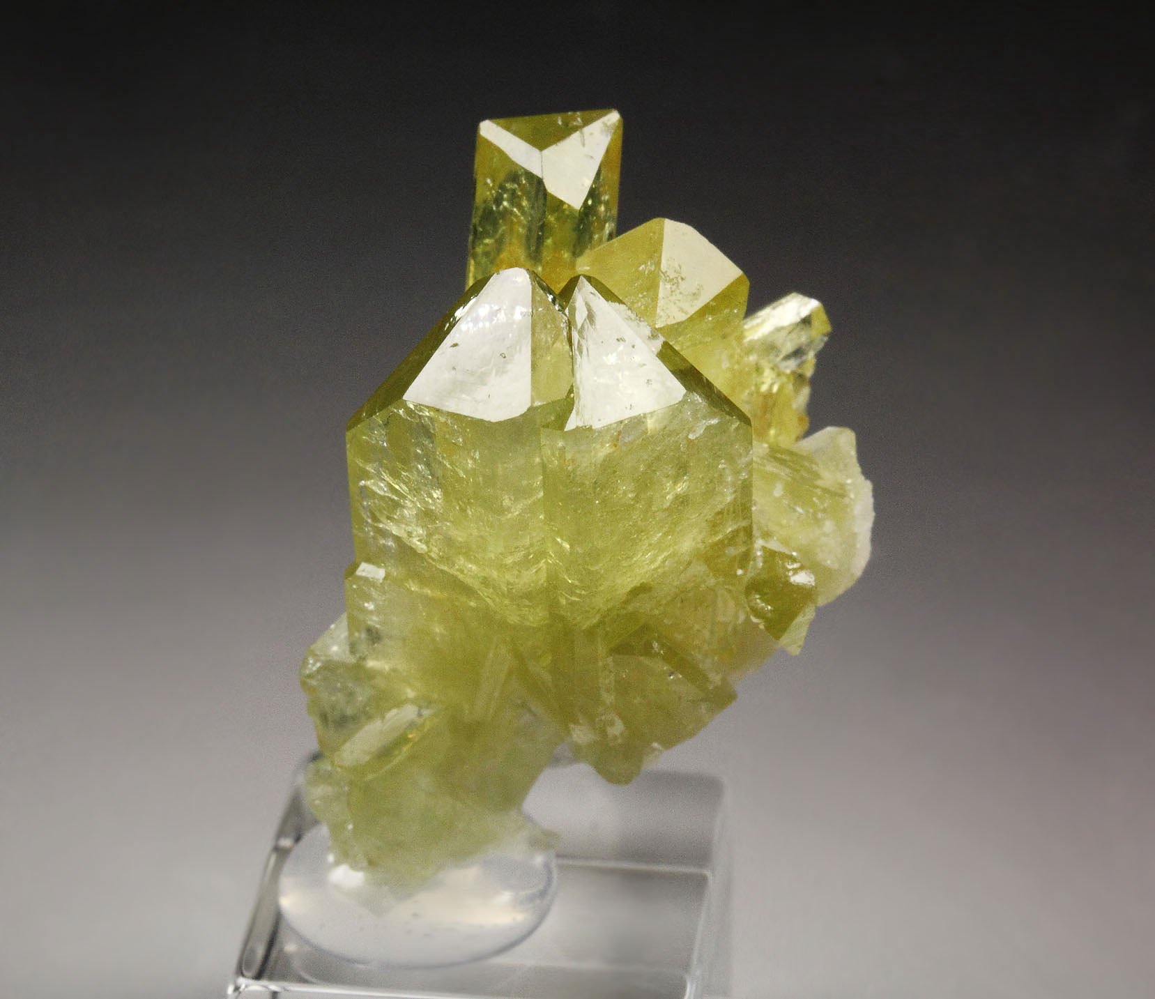 gem BRAZILIANITE, ALBITE