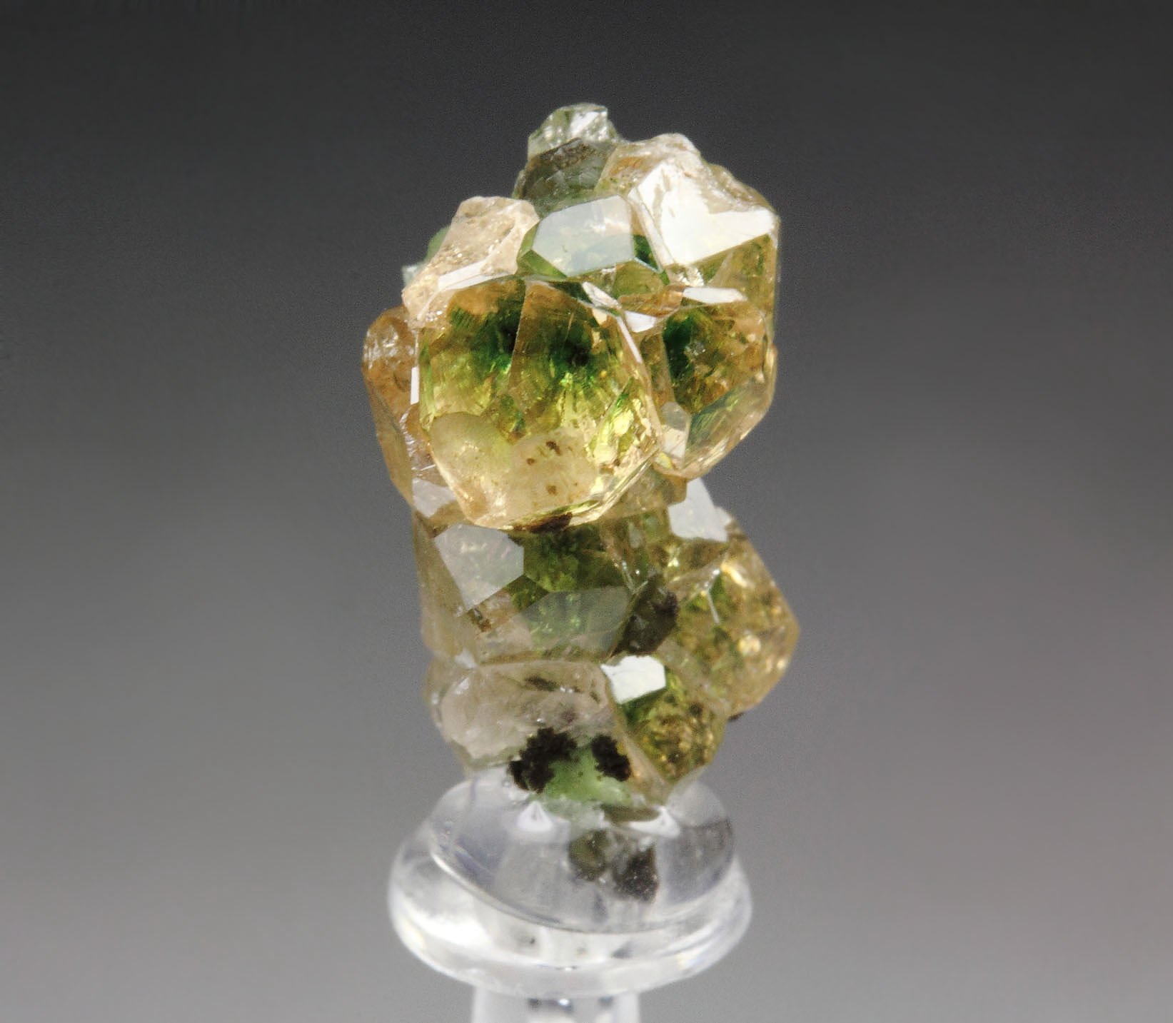 gem GARNET var. GROSSULAR with GREEN CHROMIAN PHANTOMS