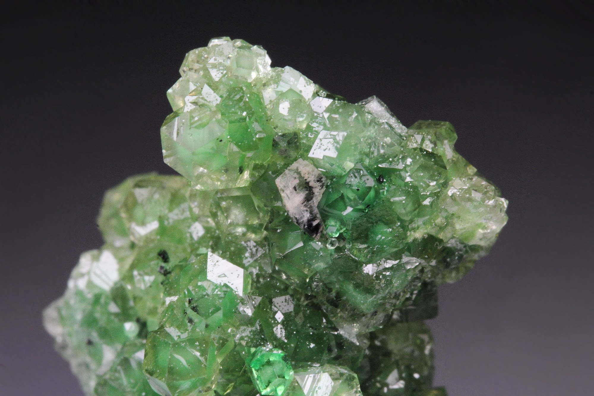 gem GARNET var. GROSSULAR with GREEN CHROMIAN PHANTOMS, CHROMITE