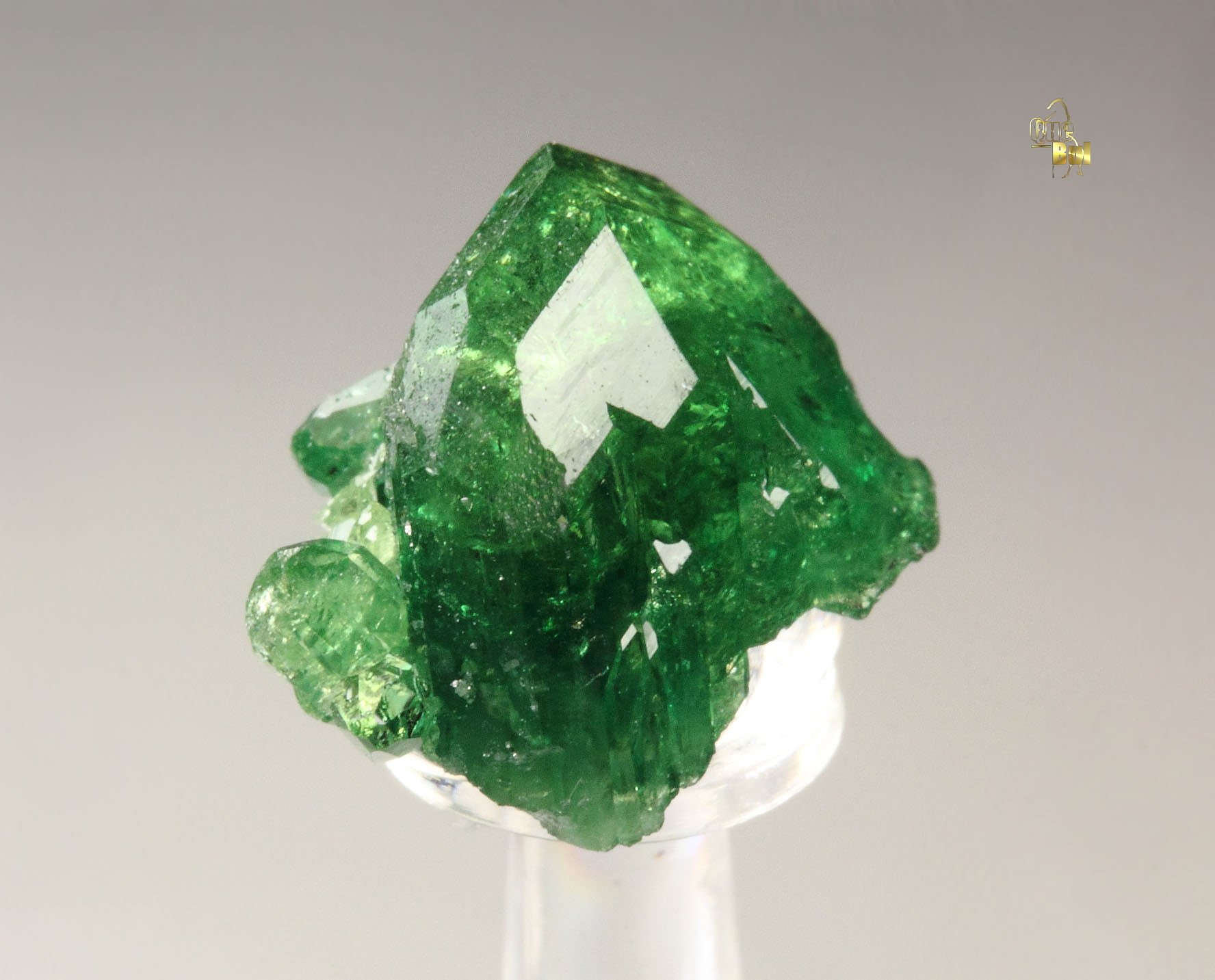 gem VESUVIANITE var. CHROMIAN