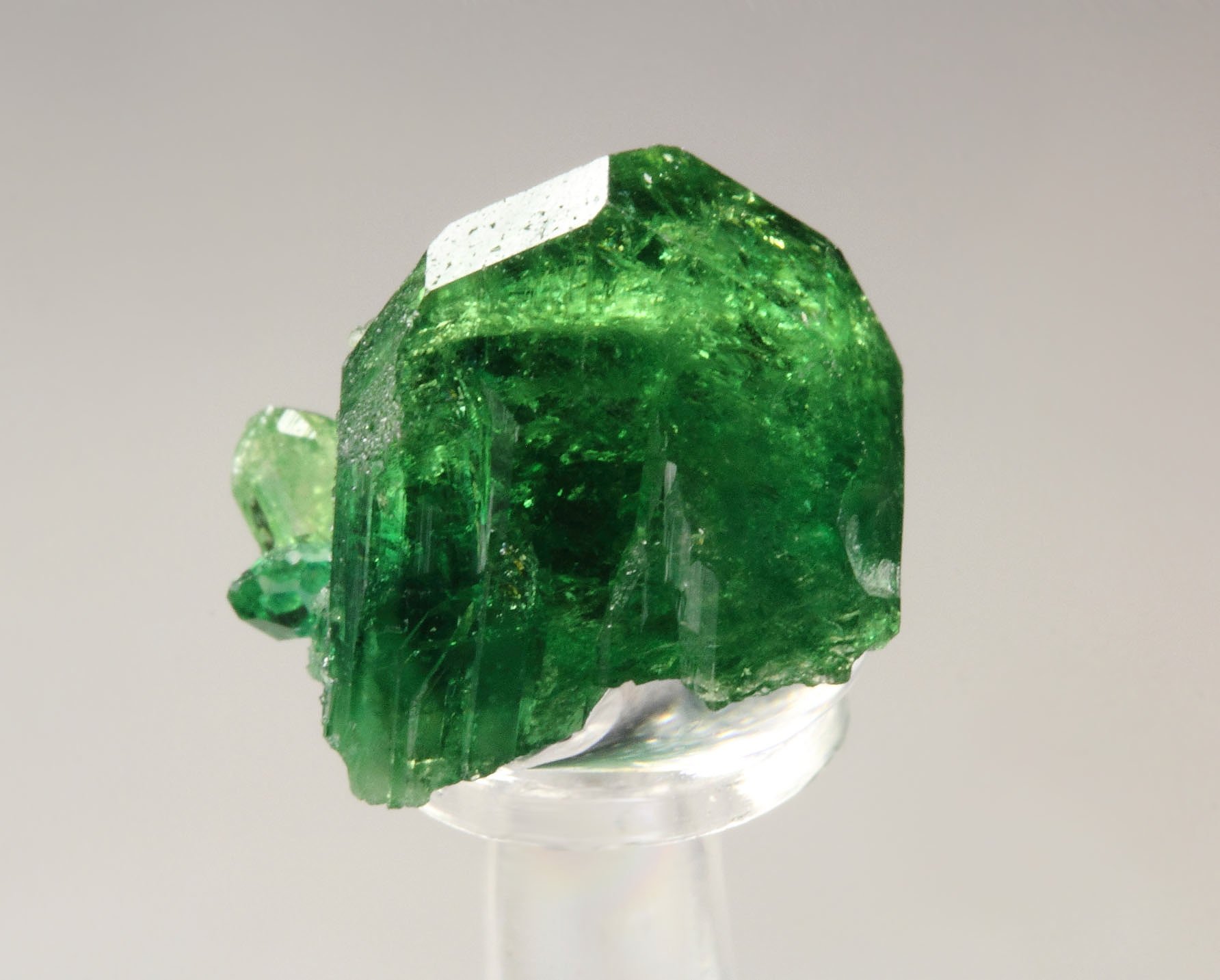 gem VESUVIANITE var. CHROMIAN