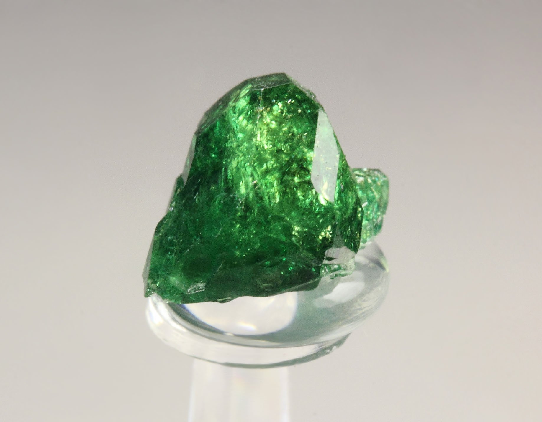 gem VESUVIANITE var. CHROMIAN