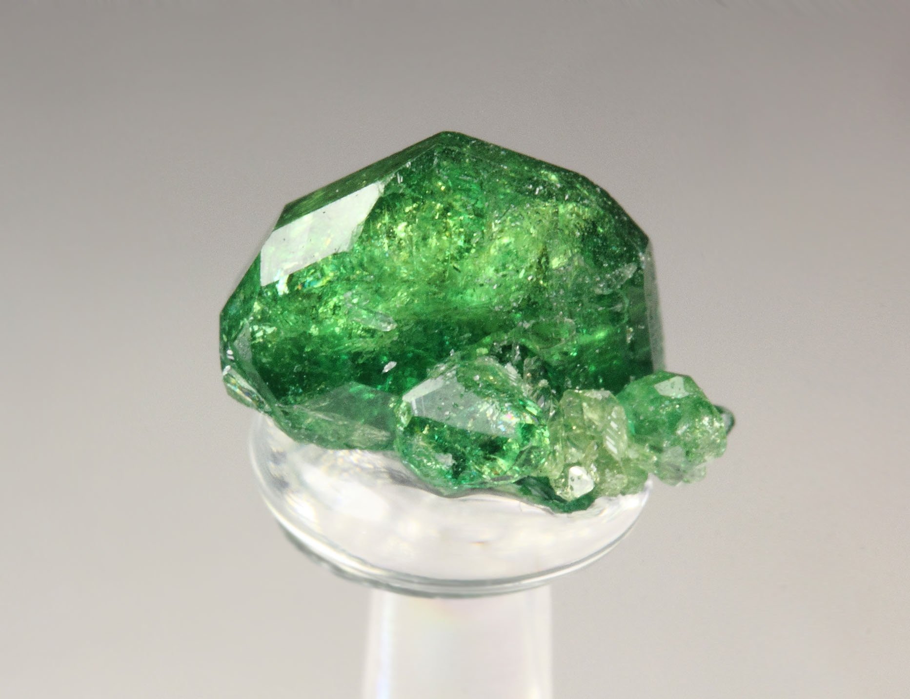 gem VESUVIANITE var. CHROMIAN