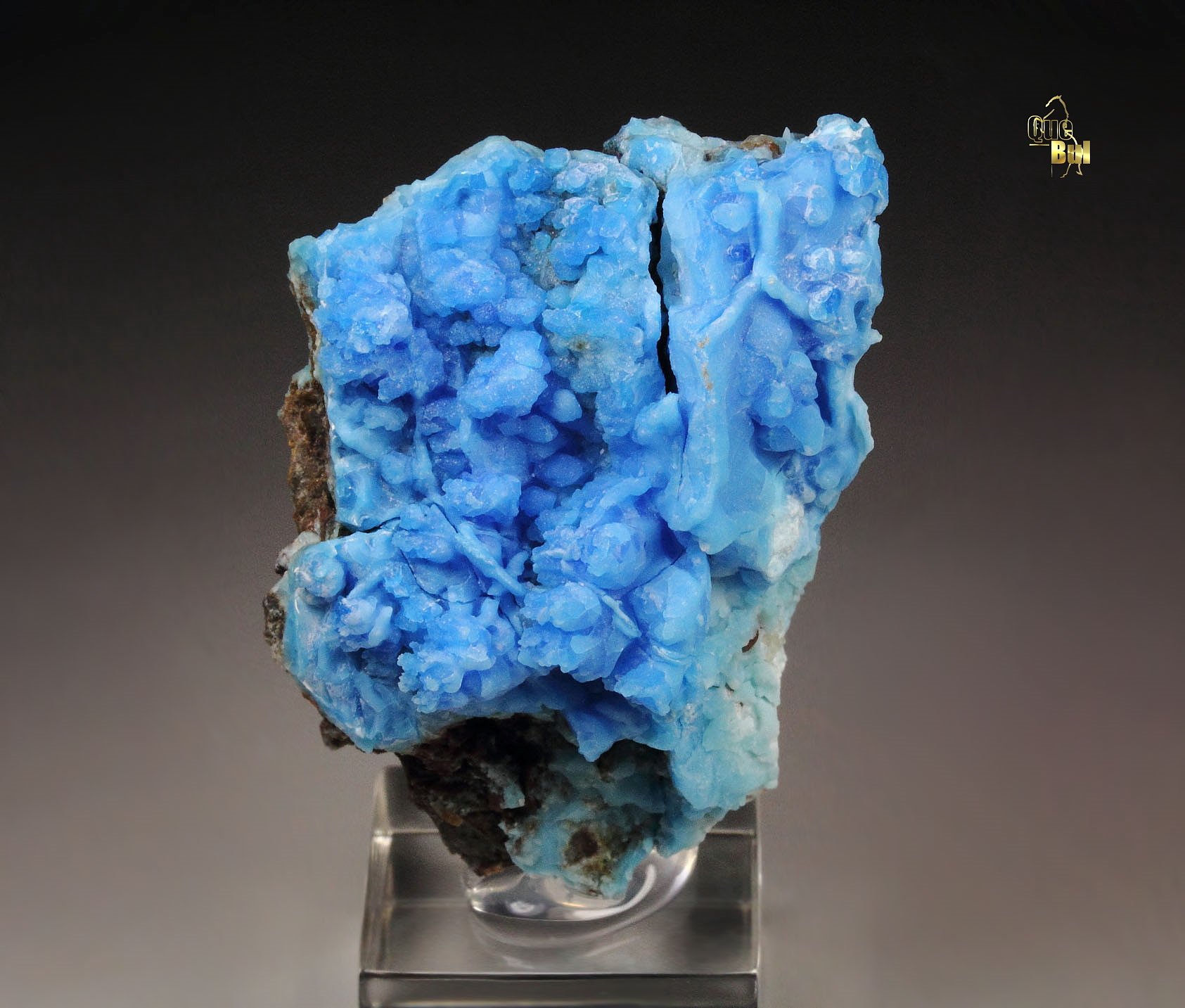 EVANSITE