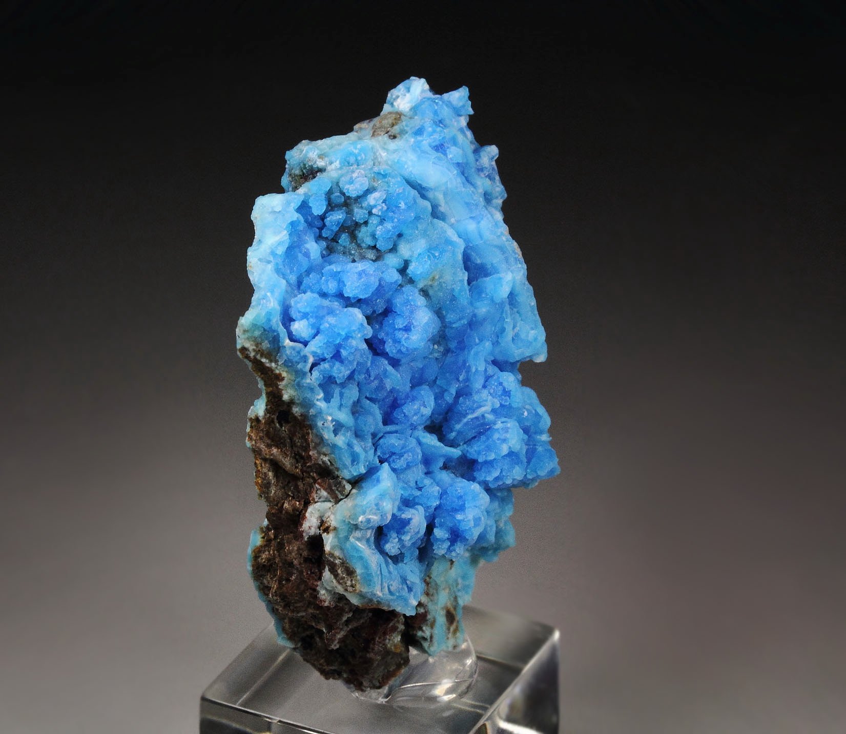 EVANSITE