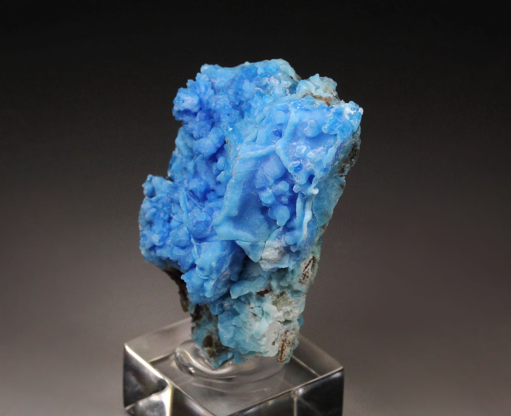 EVANSITE