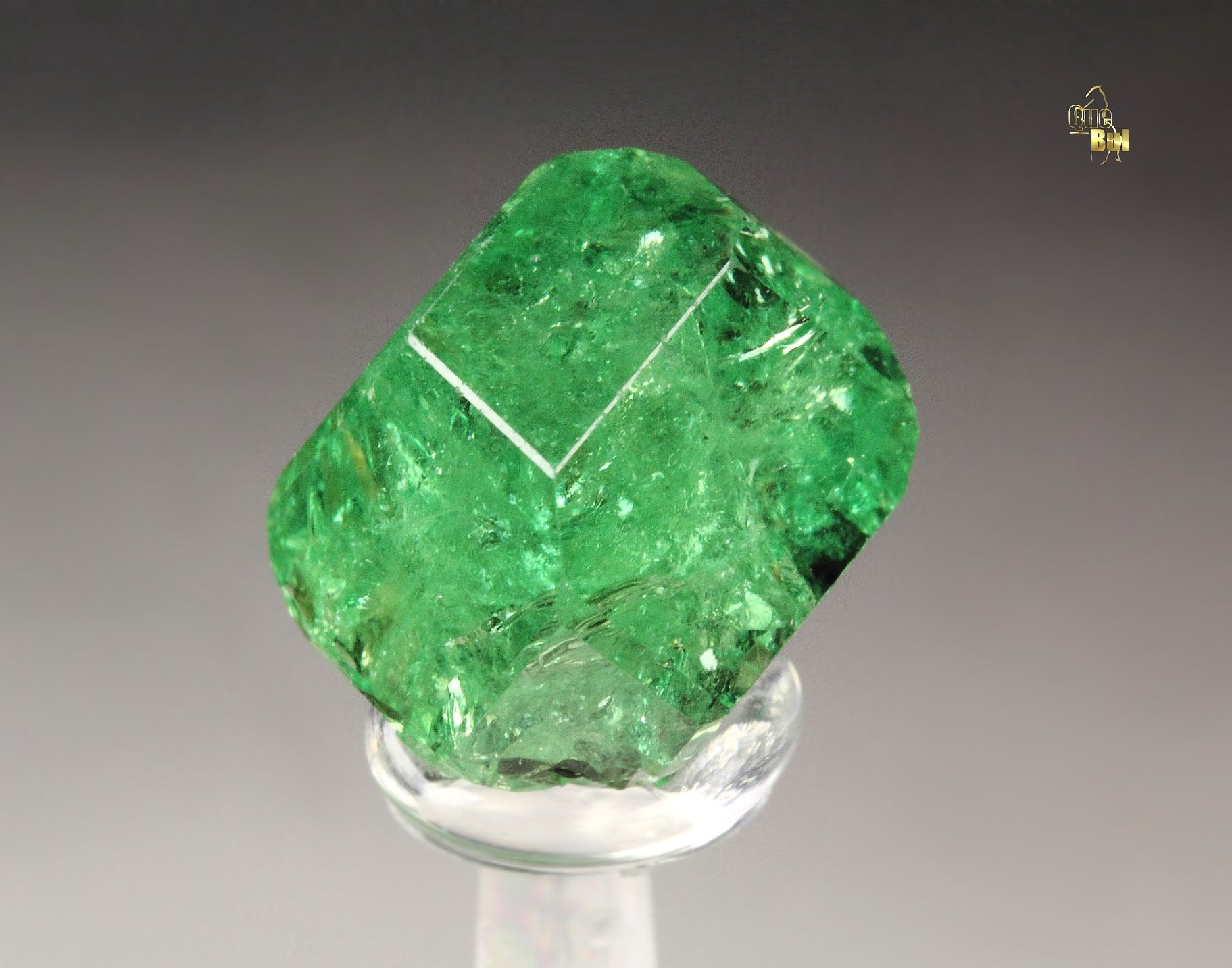 gem GARNET var. GROSSULAR var. TSAVORITE