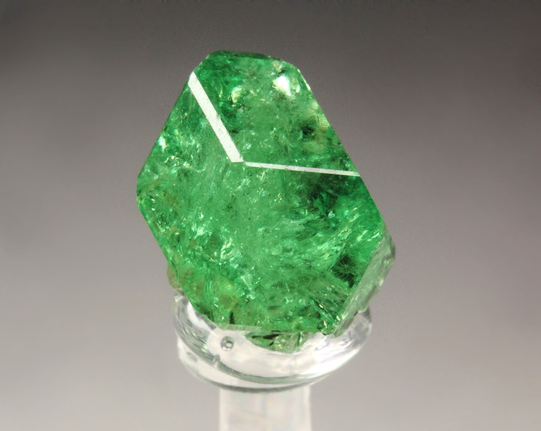 gem GARNET var. GROSSULAR var. TSAVORITE