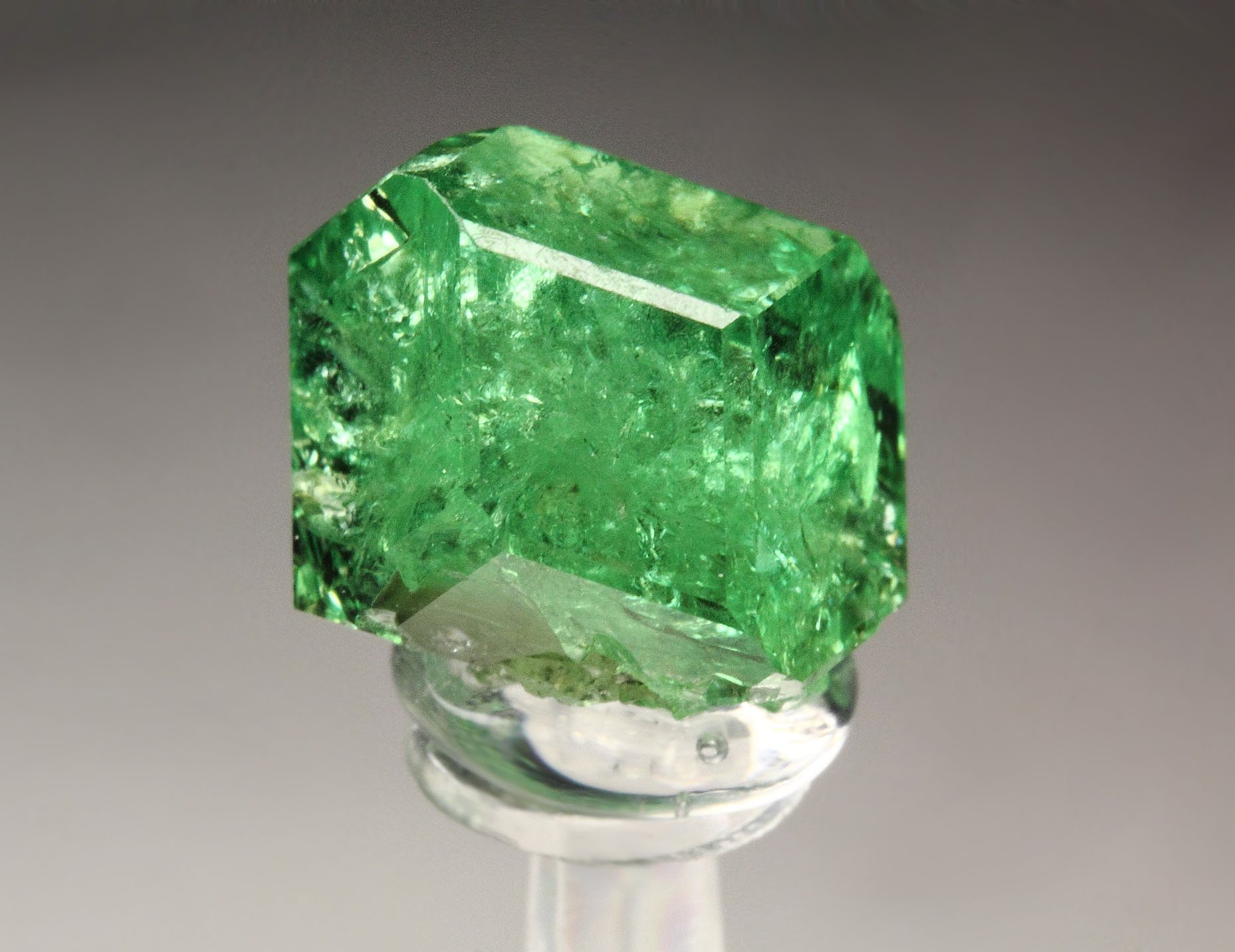 gem GARNET var. GROSSULAR var. TSAVORITE