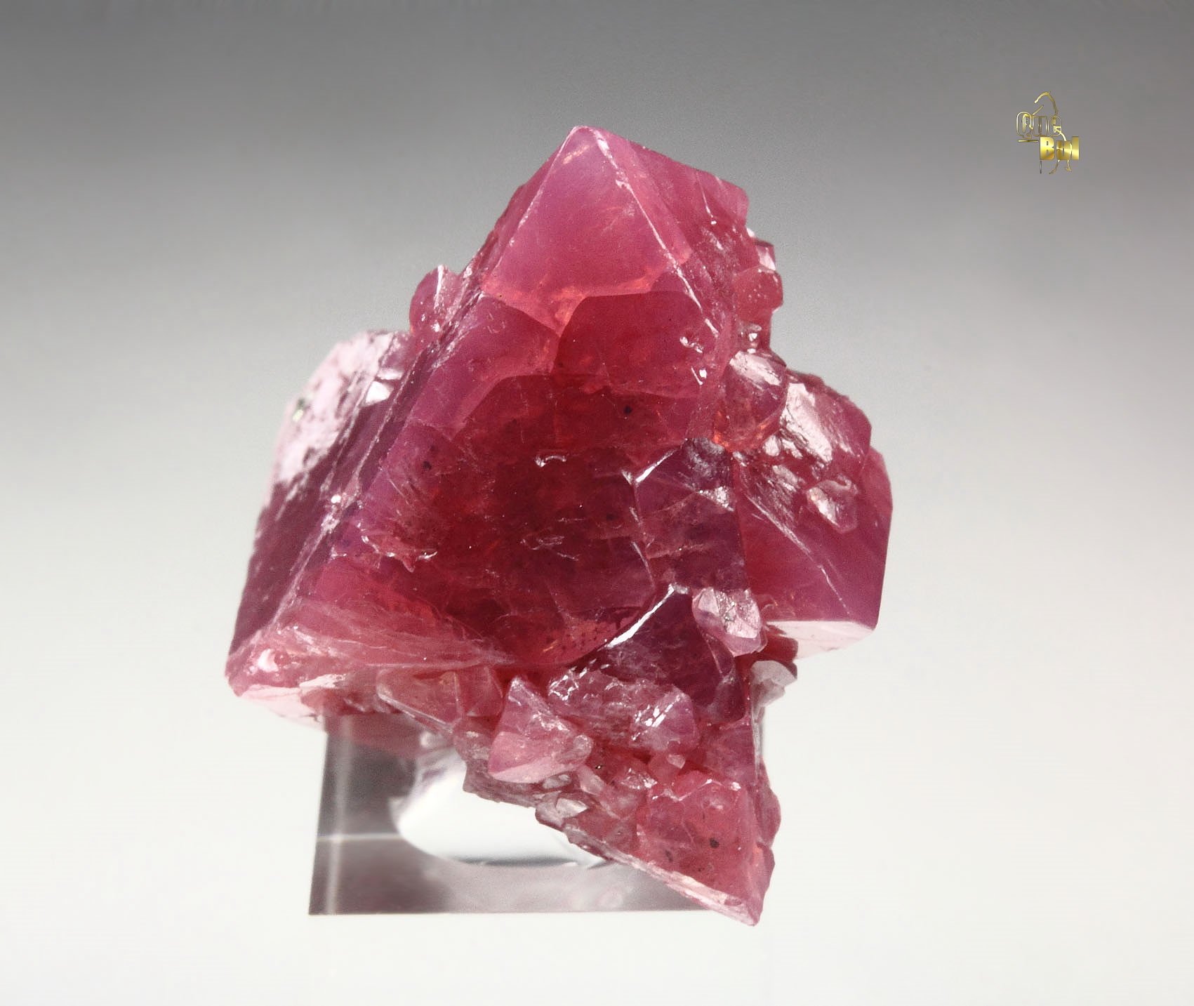 SPINEL