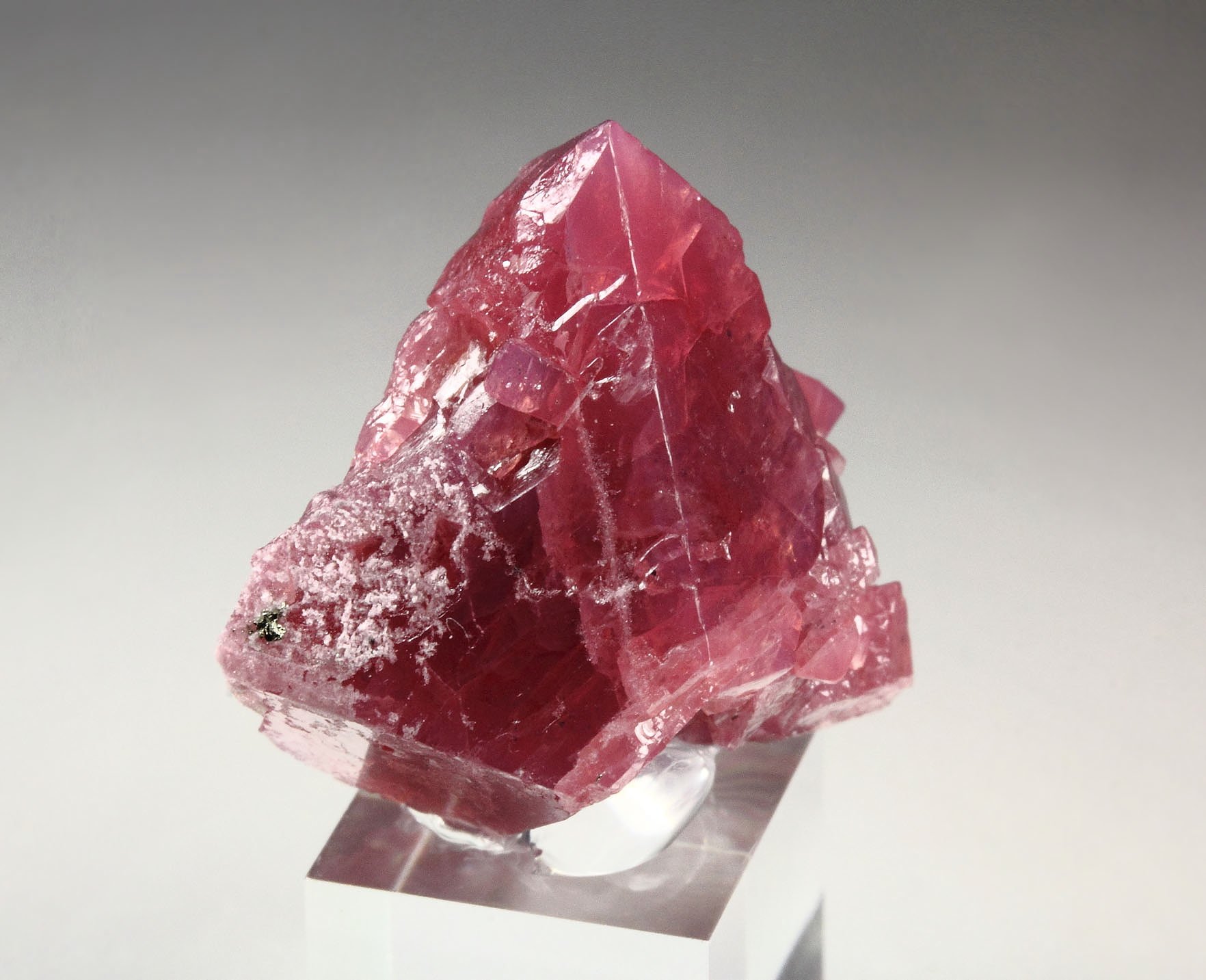 SPINEL