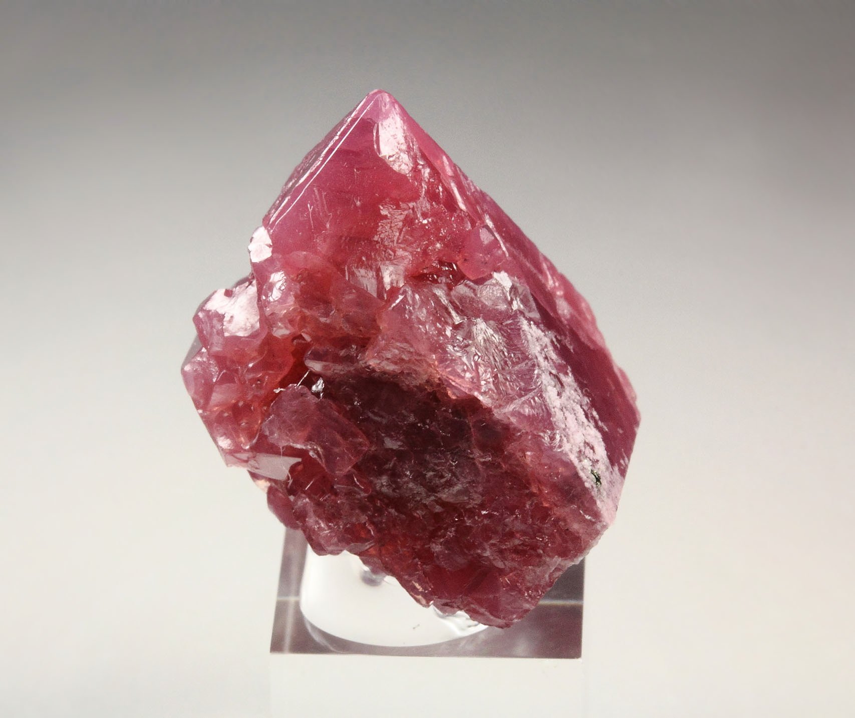 SPINEL