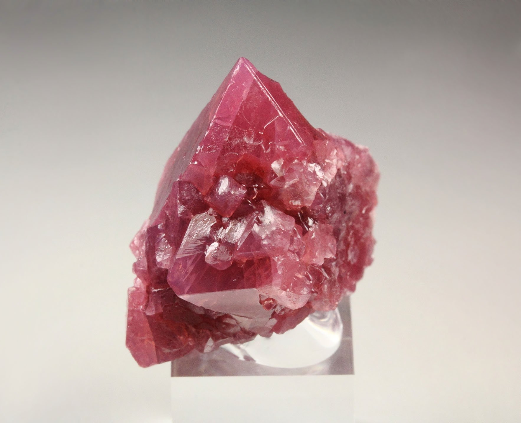 SPINEL