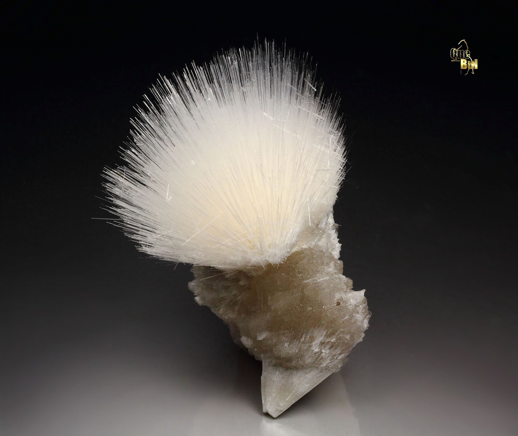 MESOLITE