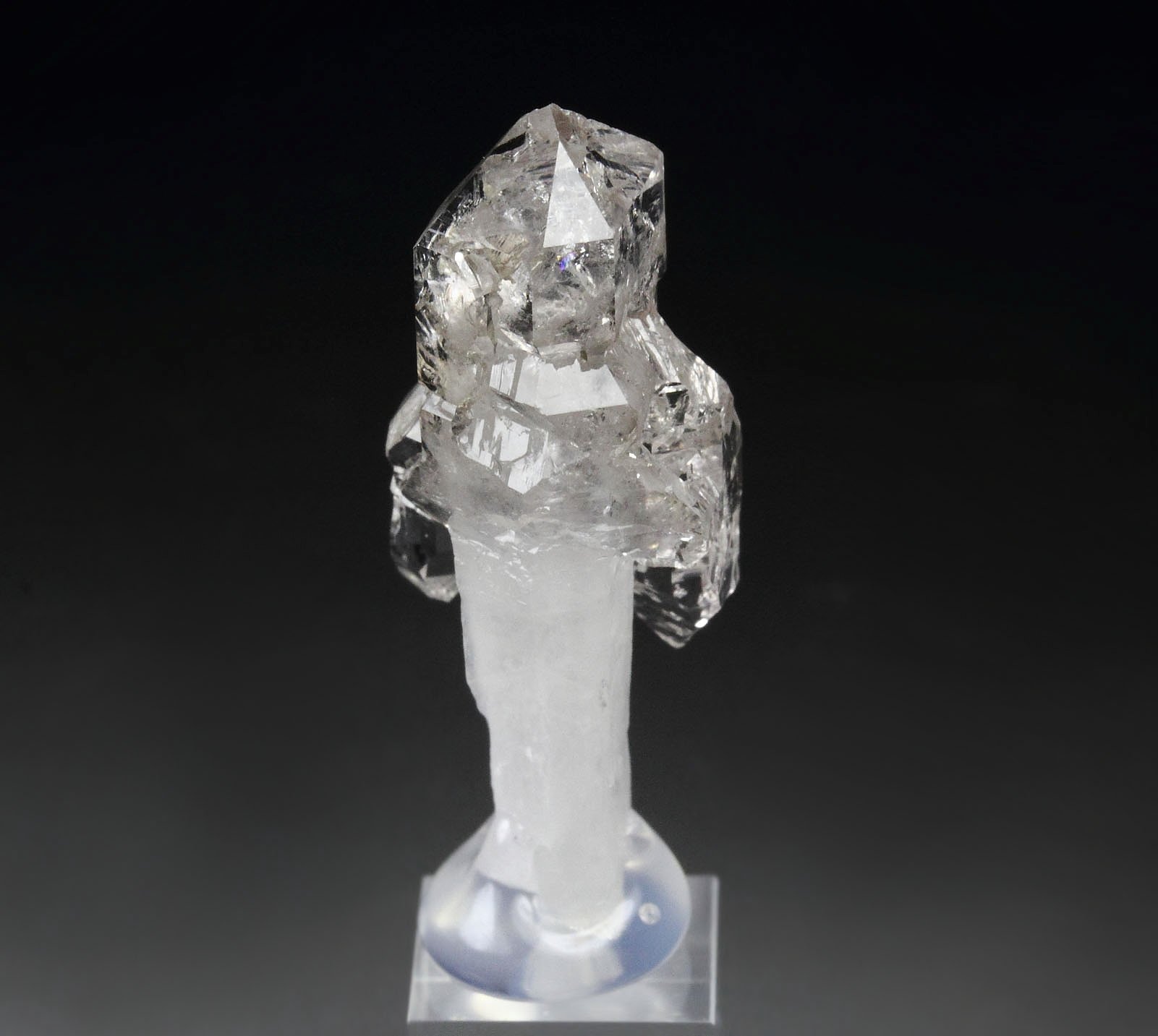 scepter QUARTZ