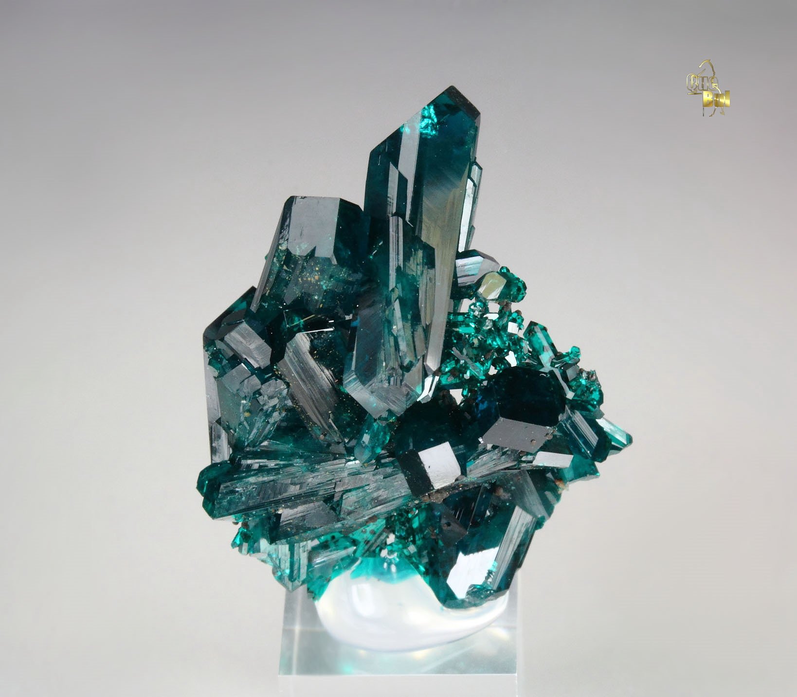 new find - gemmy DIOPTASE bi-terminated