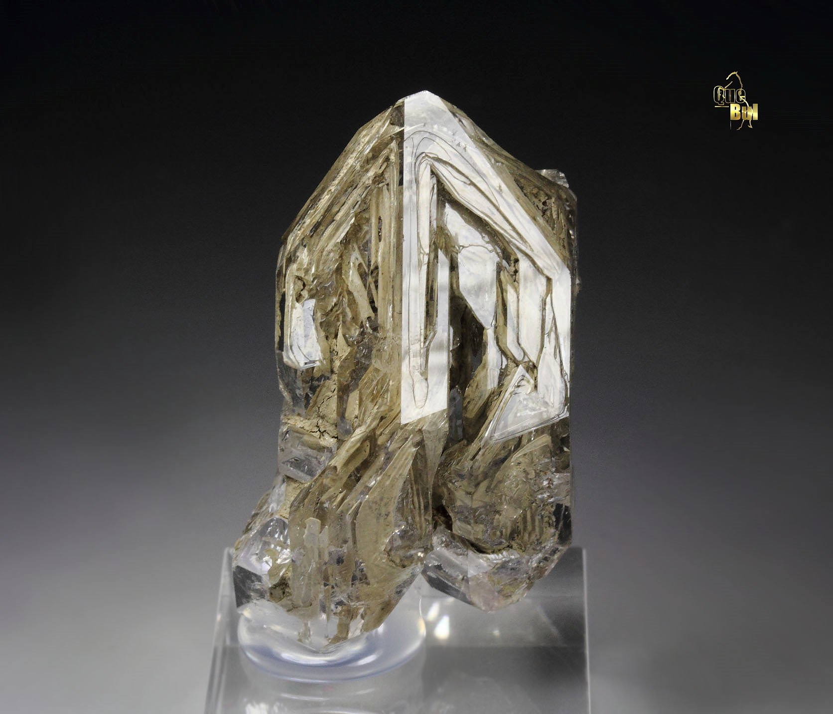 skeletal QUARTZ