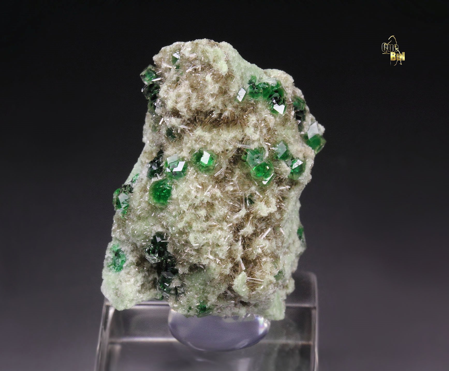 gem GARNET var. GROSSULAR with GREEN CHROMIAN PHANTOMS, DIOPSIDE, CHROMITE