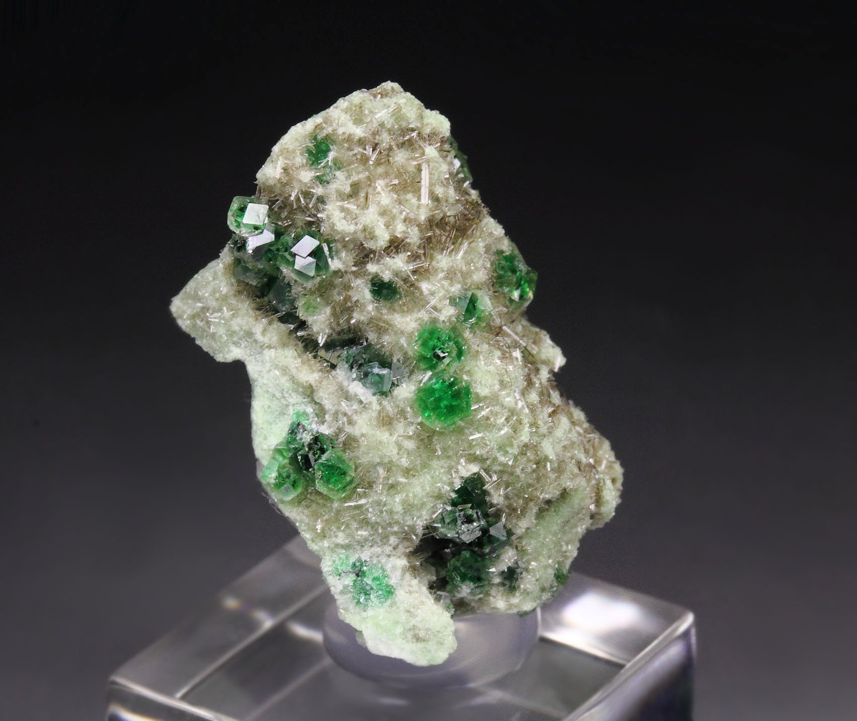 gem GARNET var. GROSSULAR with GREEN CHROMIAN PHANTOMS, DIOPSIDE, CHROMITE