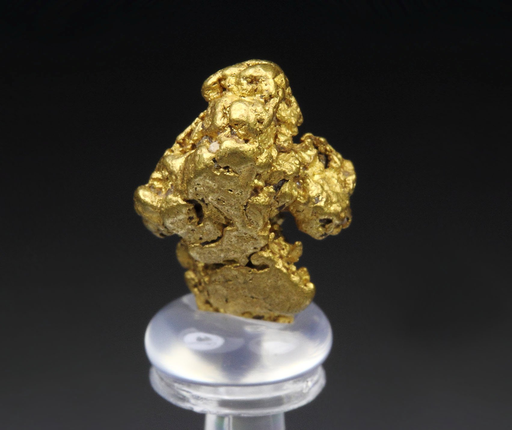 GOLD