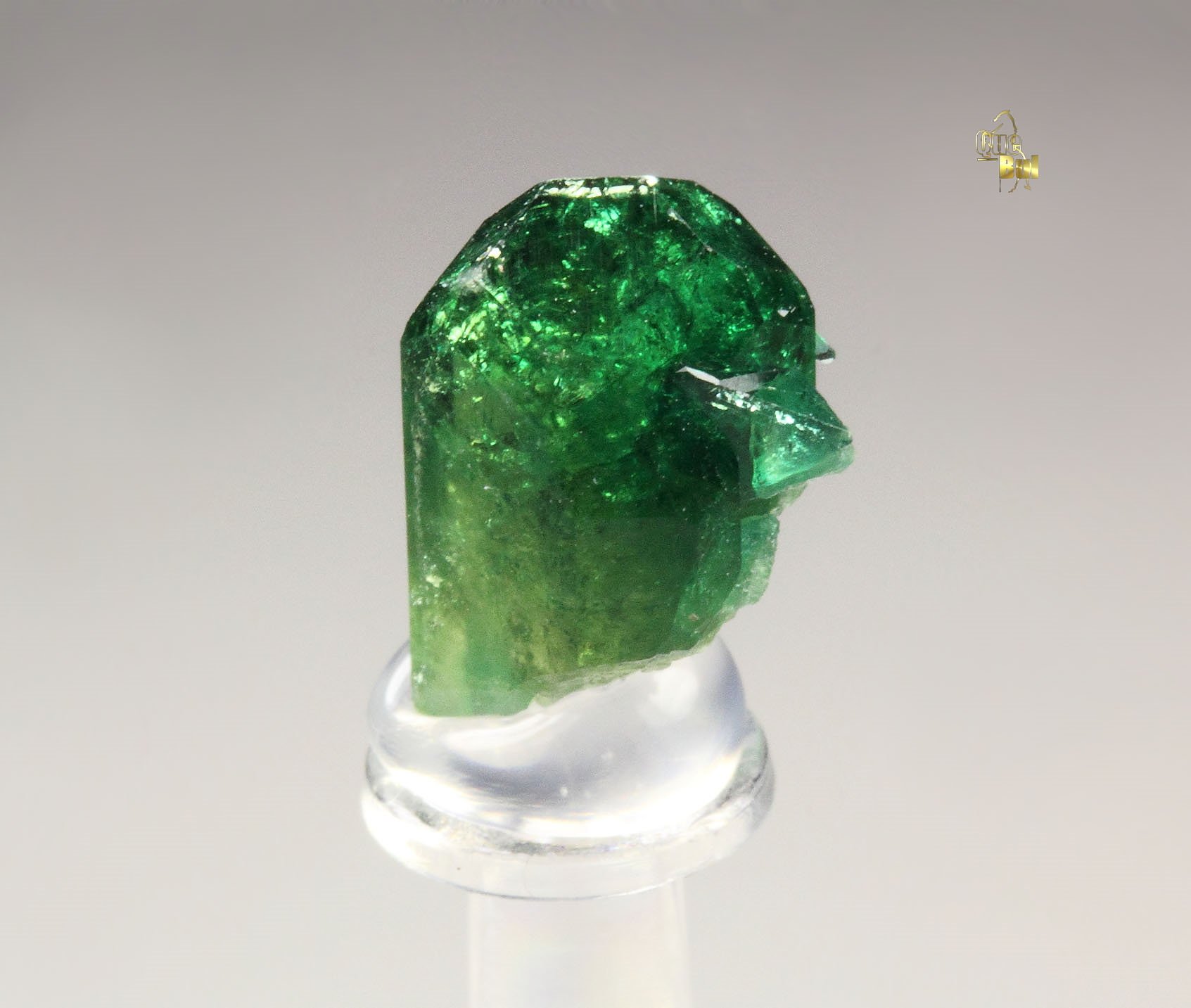 gem VESUVIANITE var. CHROMIAN