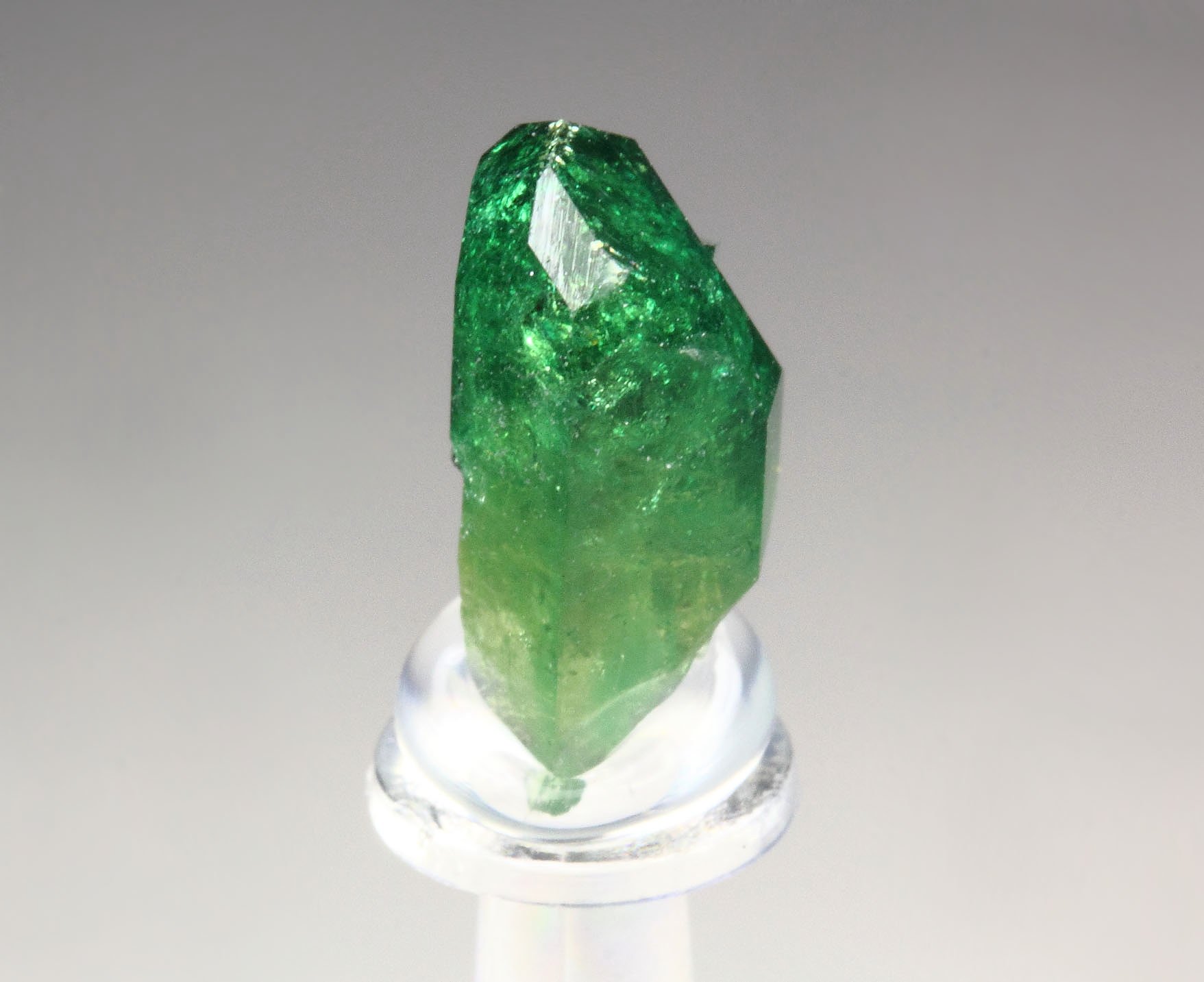 gem VESUVIANITE var. CHROMIAN