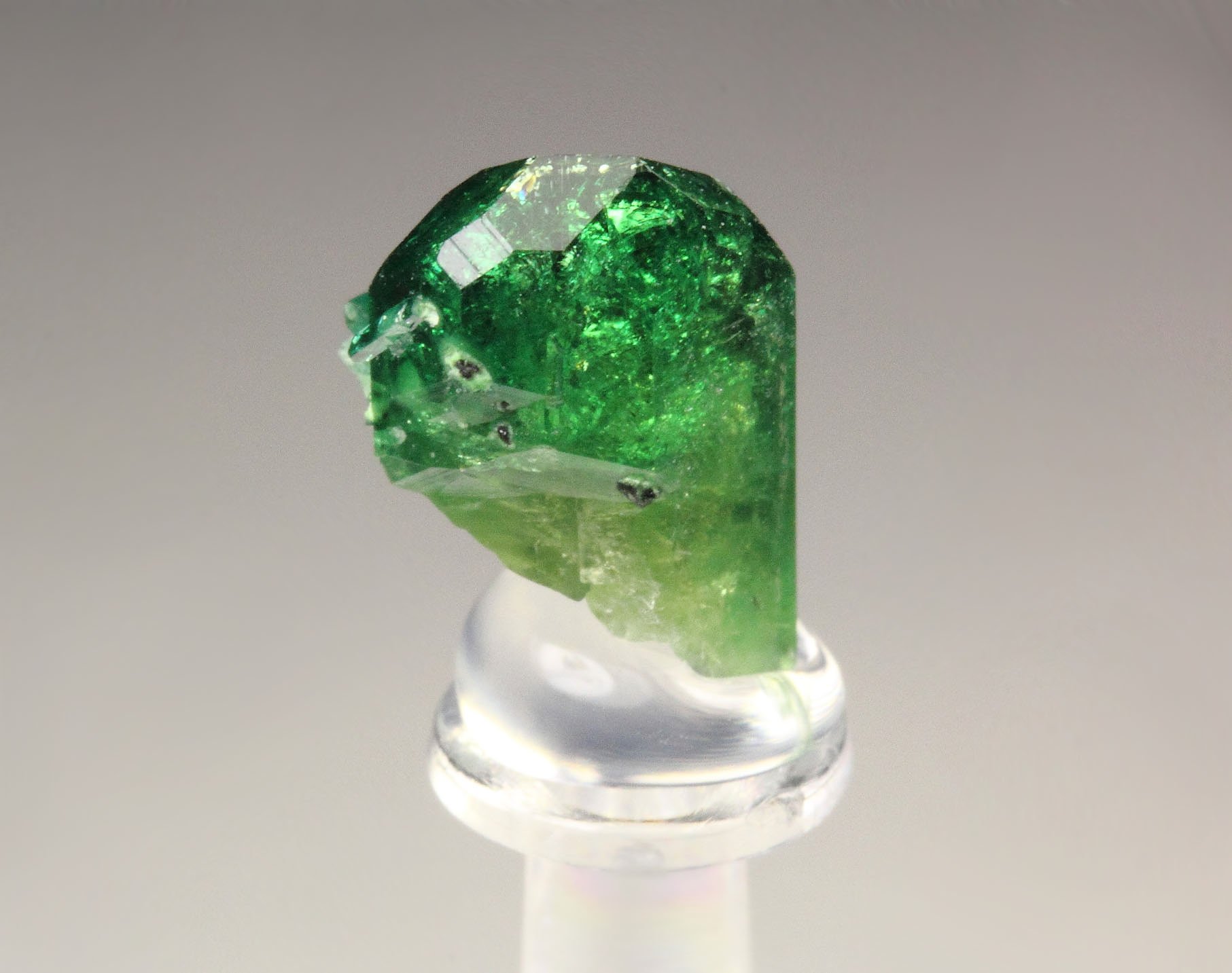 gem VESUVIANITE var. CHROMIAN