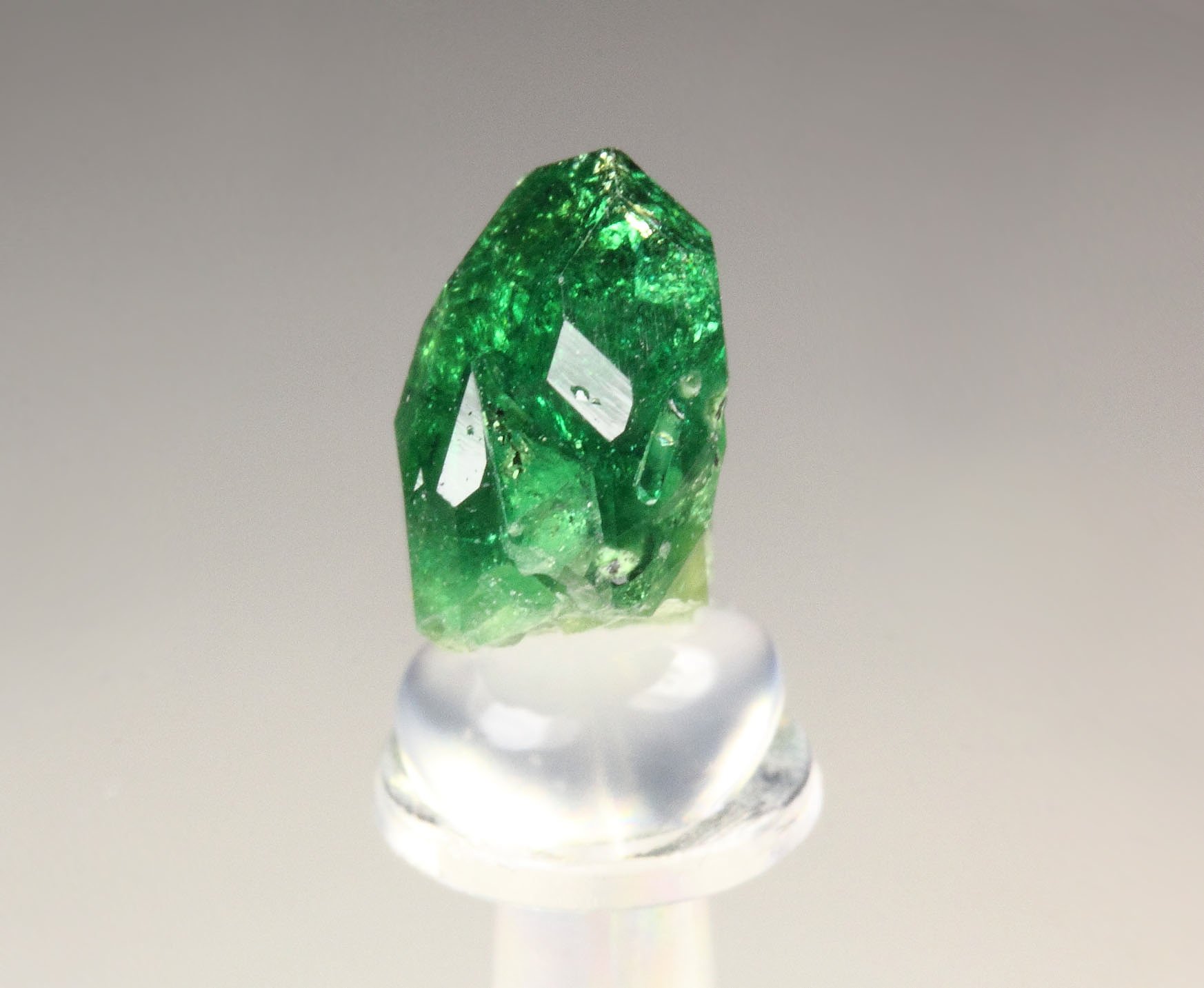 gem VESUVIANITE var. CHROMIAN