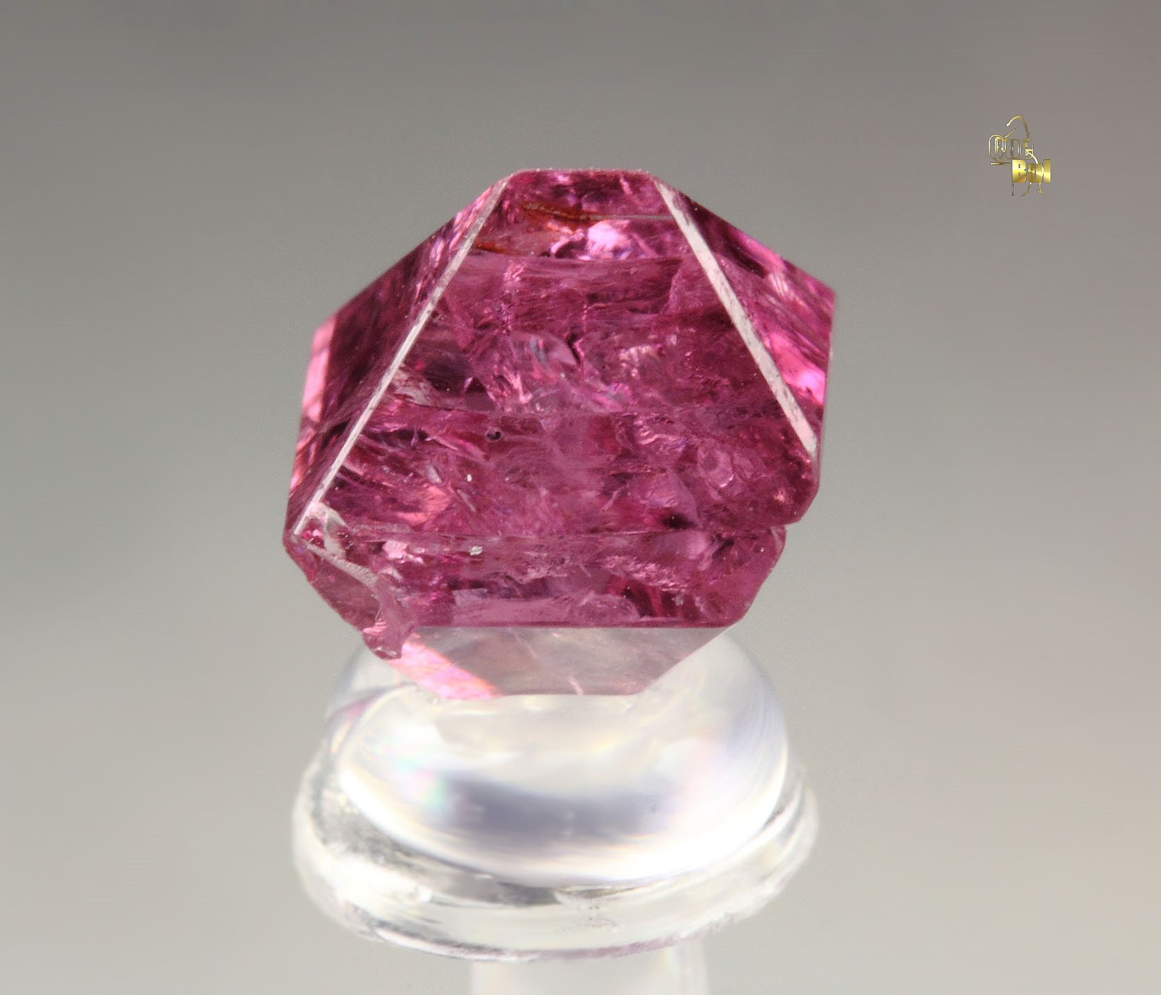 gem SPINEL