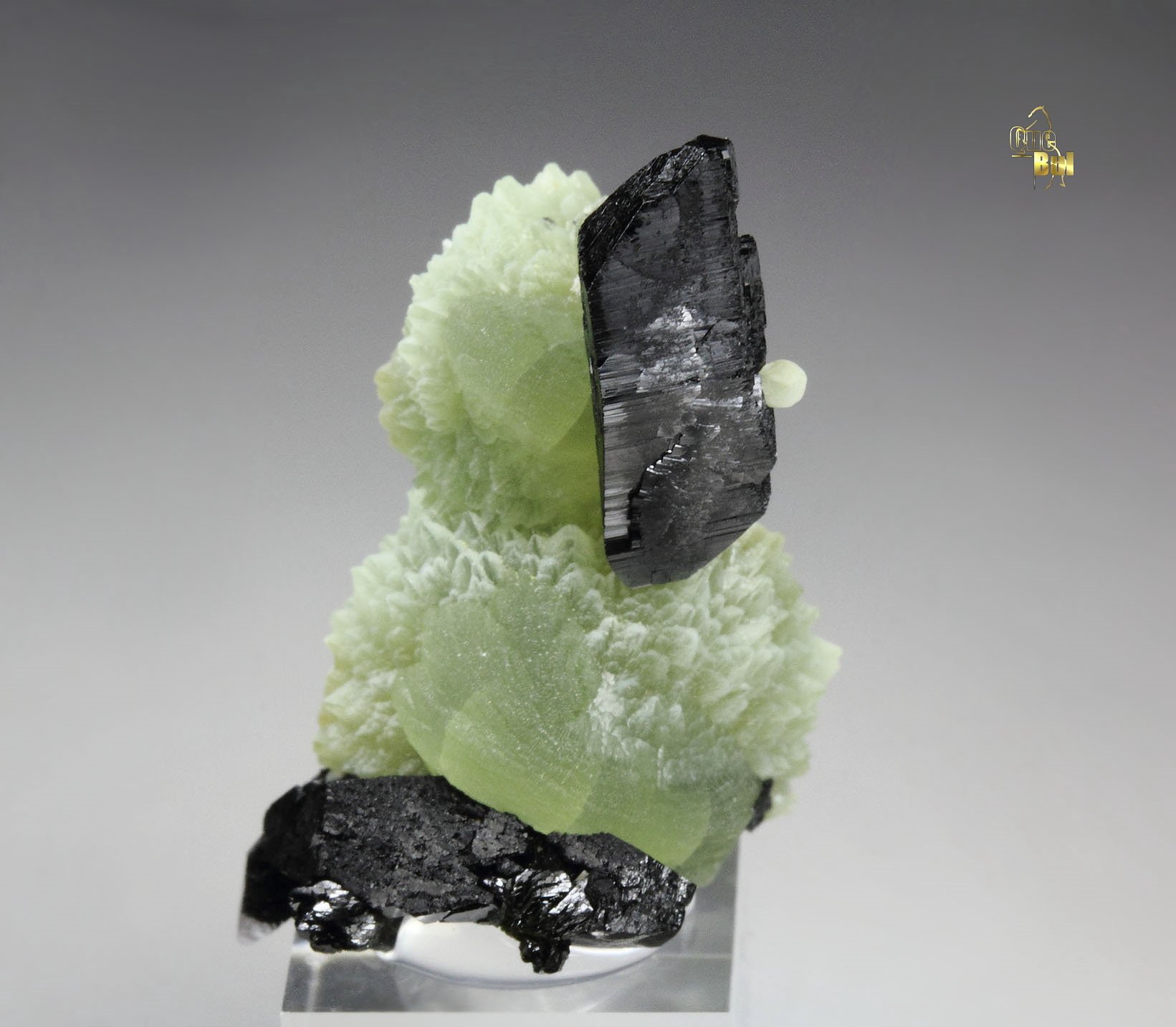 BABINGTONITE, PREHNITE 