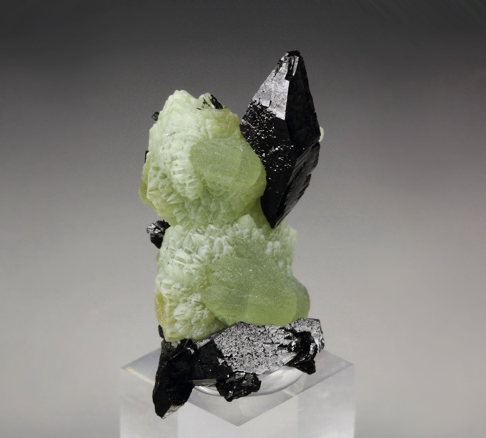 BABINGTONITE, PREHNITE 