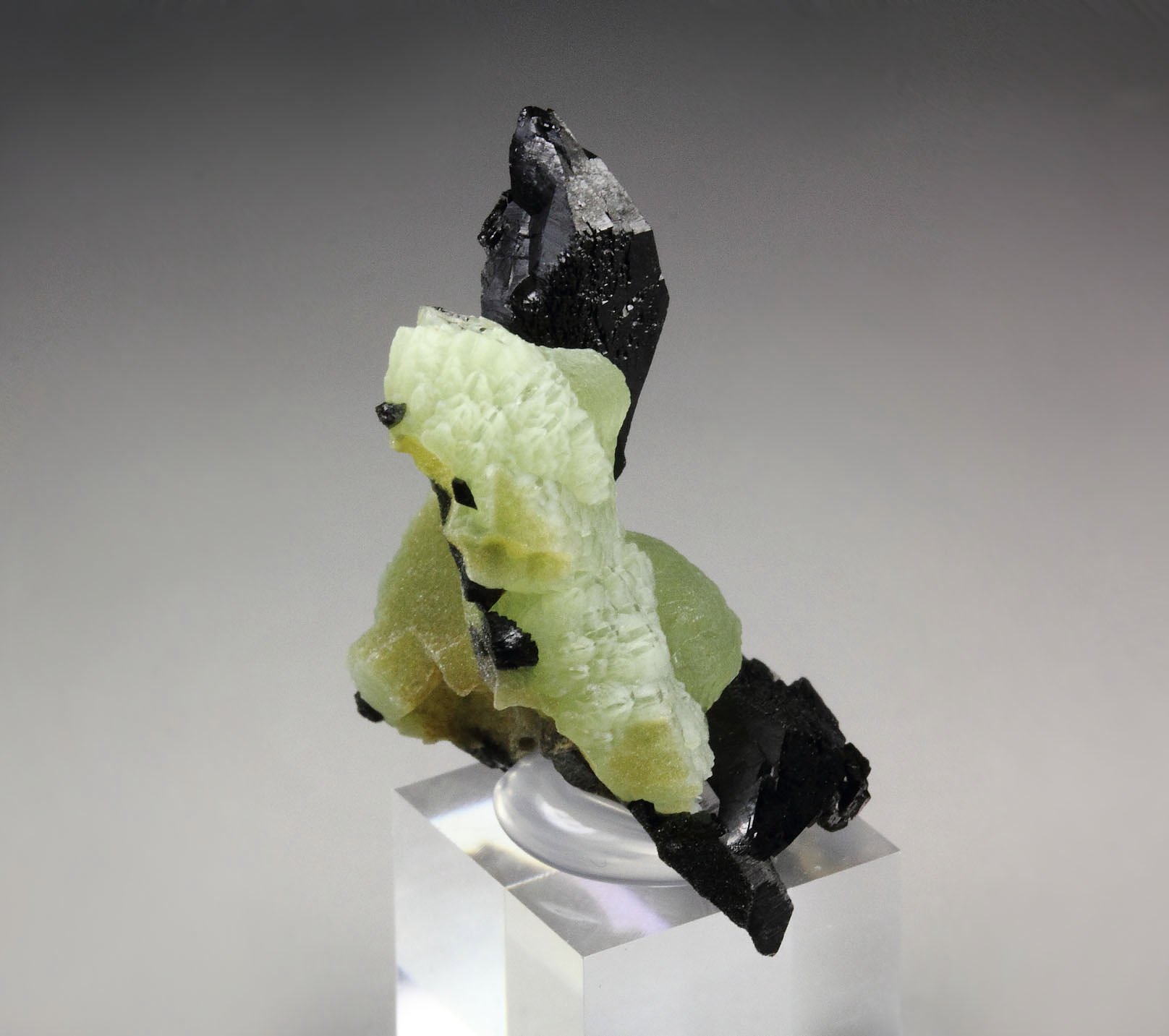 BABINGTONITE, PREHNITE 