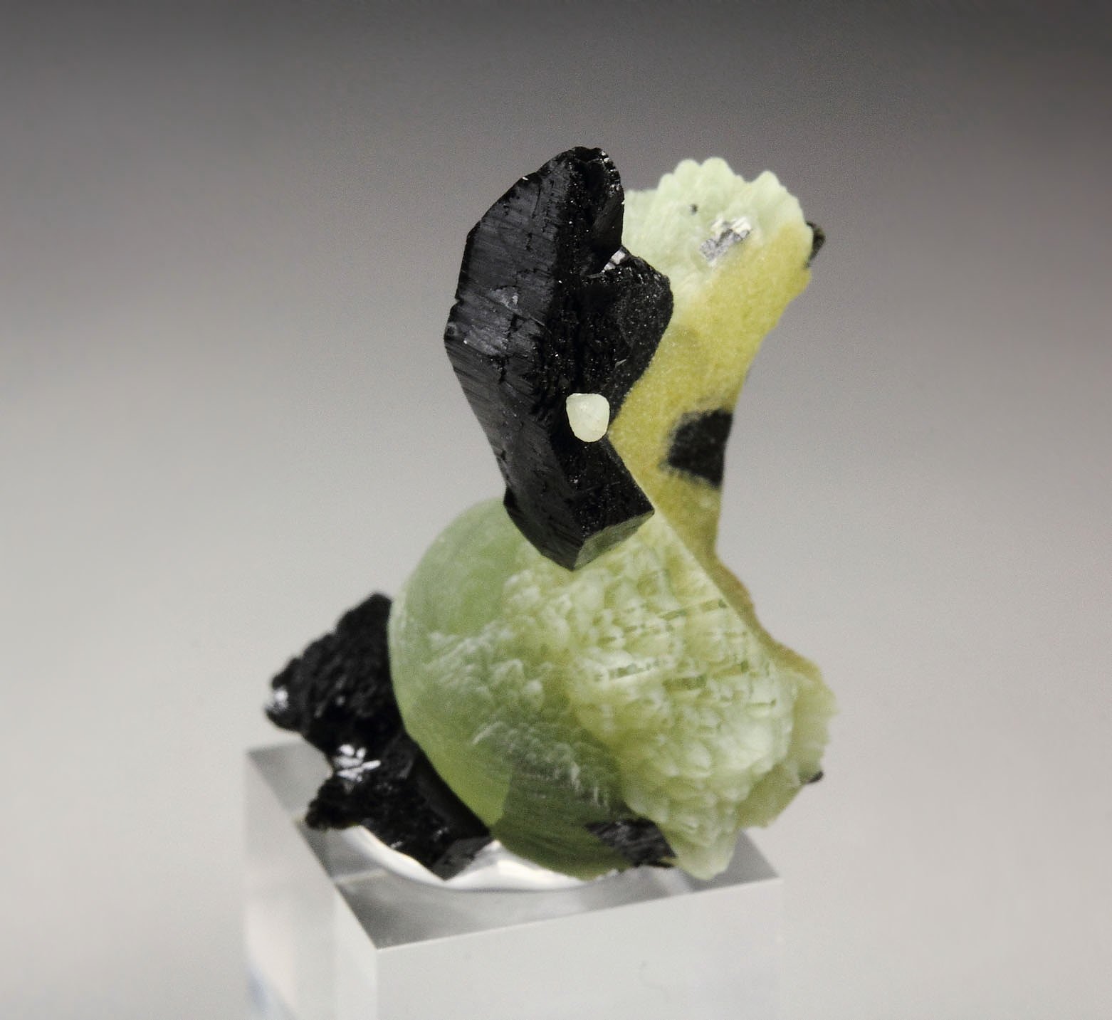 BABINGTONITE, PREHNITE 