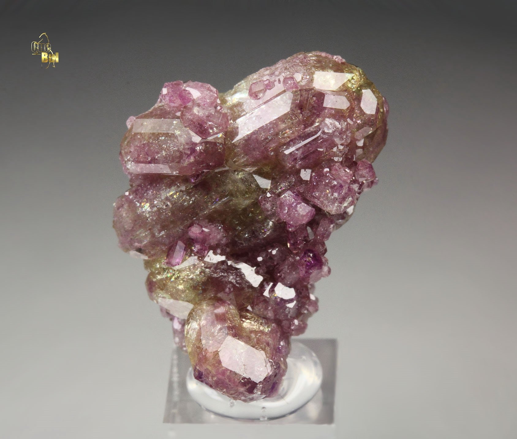 gem VESUVIANITE bi-color