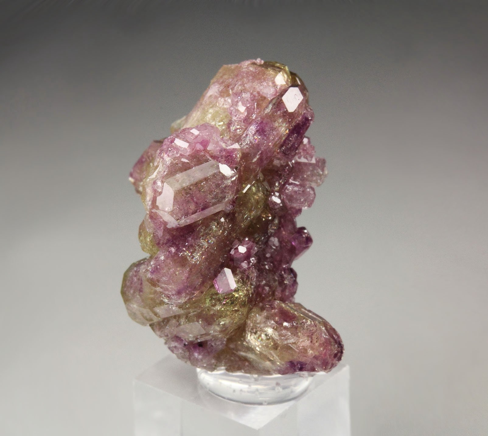 gem VESUVIANITE bi-color