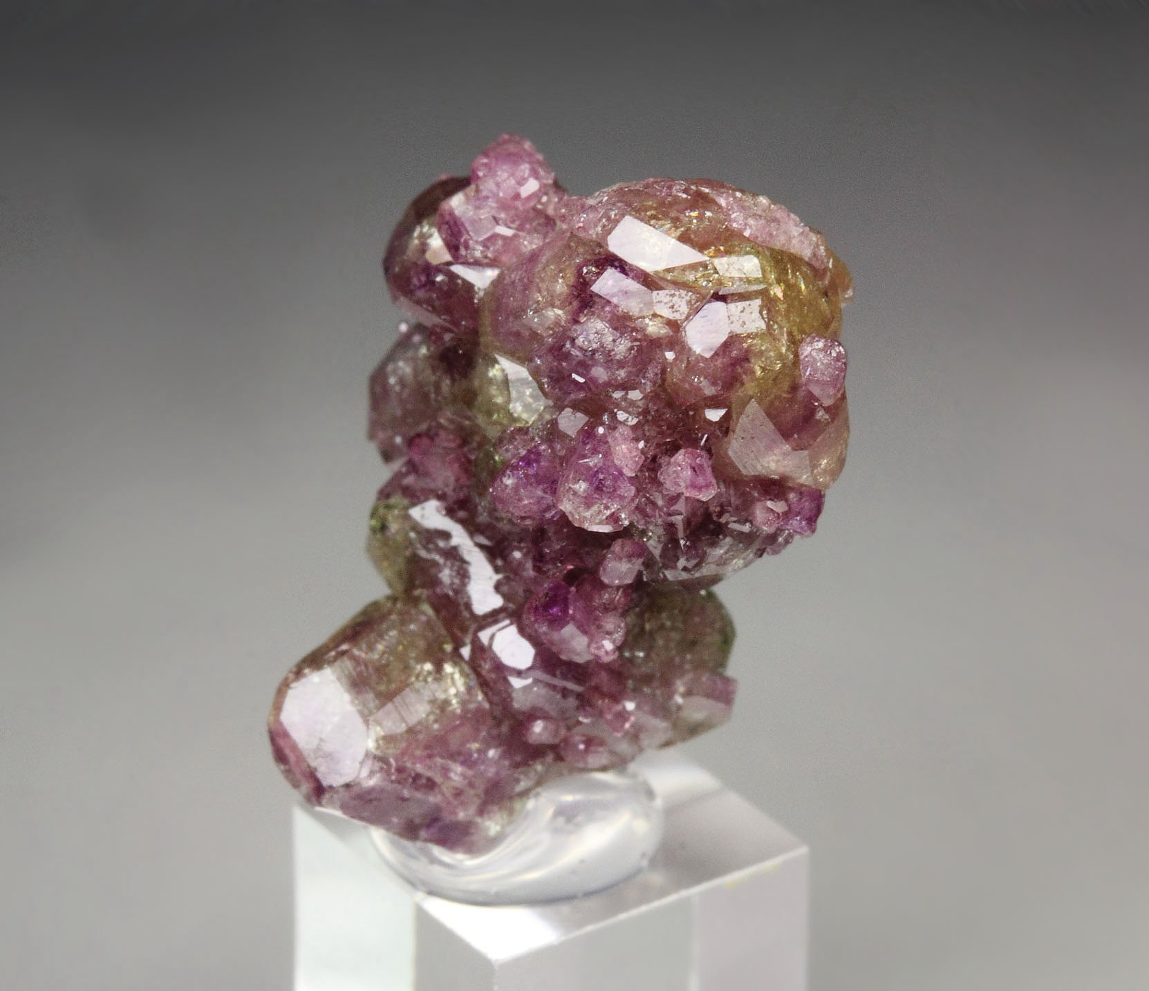 gem VESUVIANITE bi-color