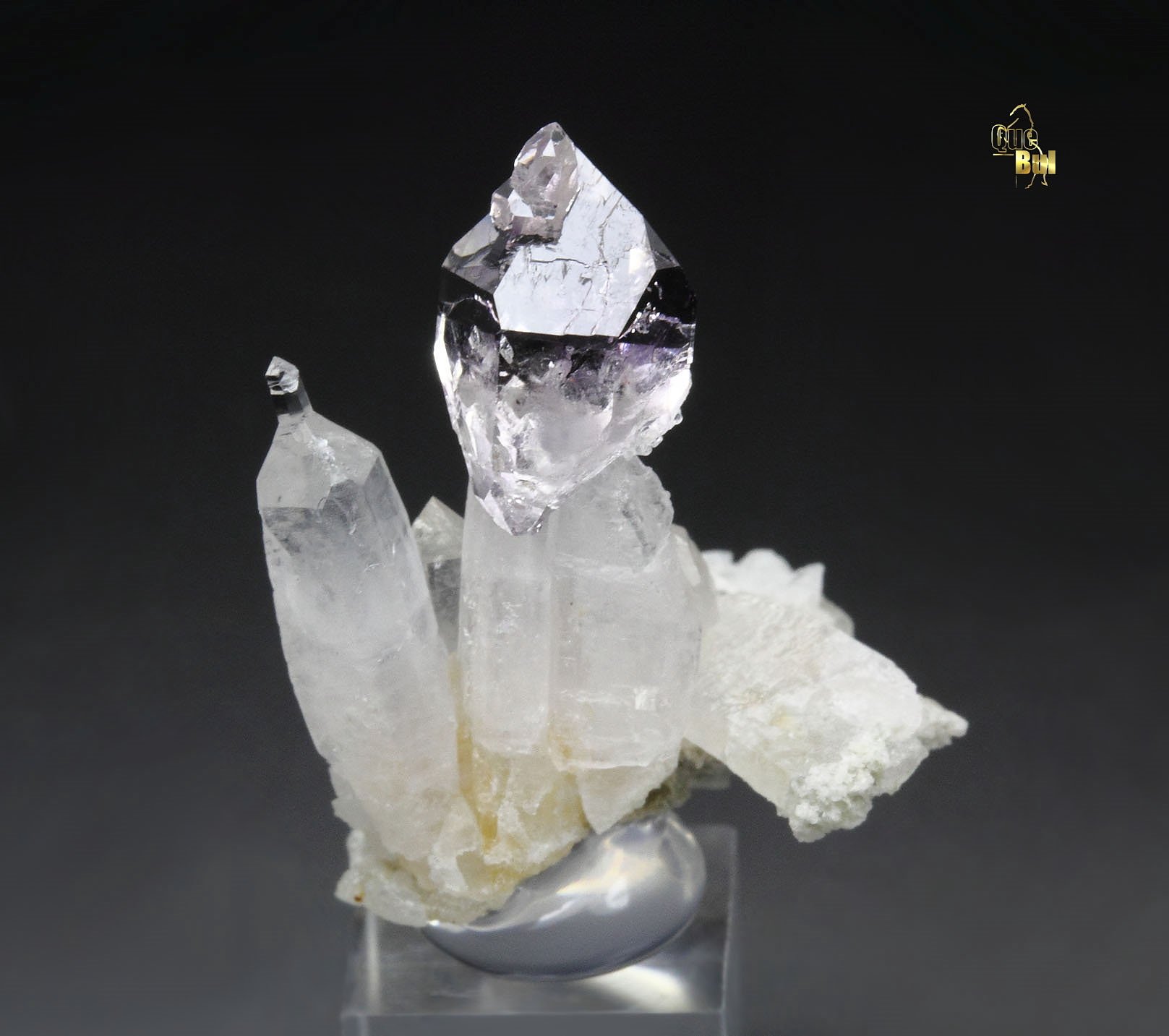 scepter QUARTZ