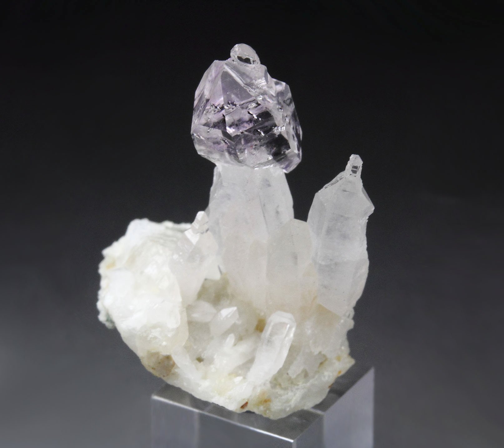 scepter QUARTZ