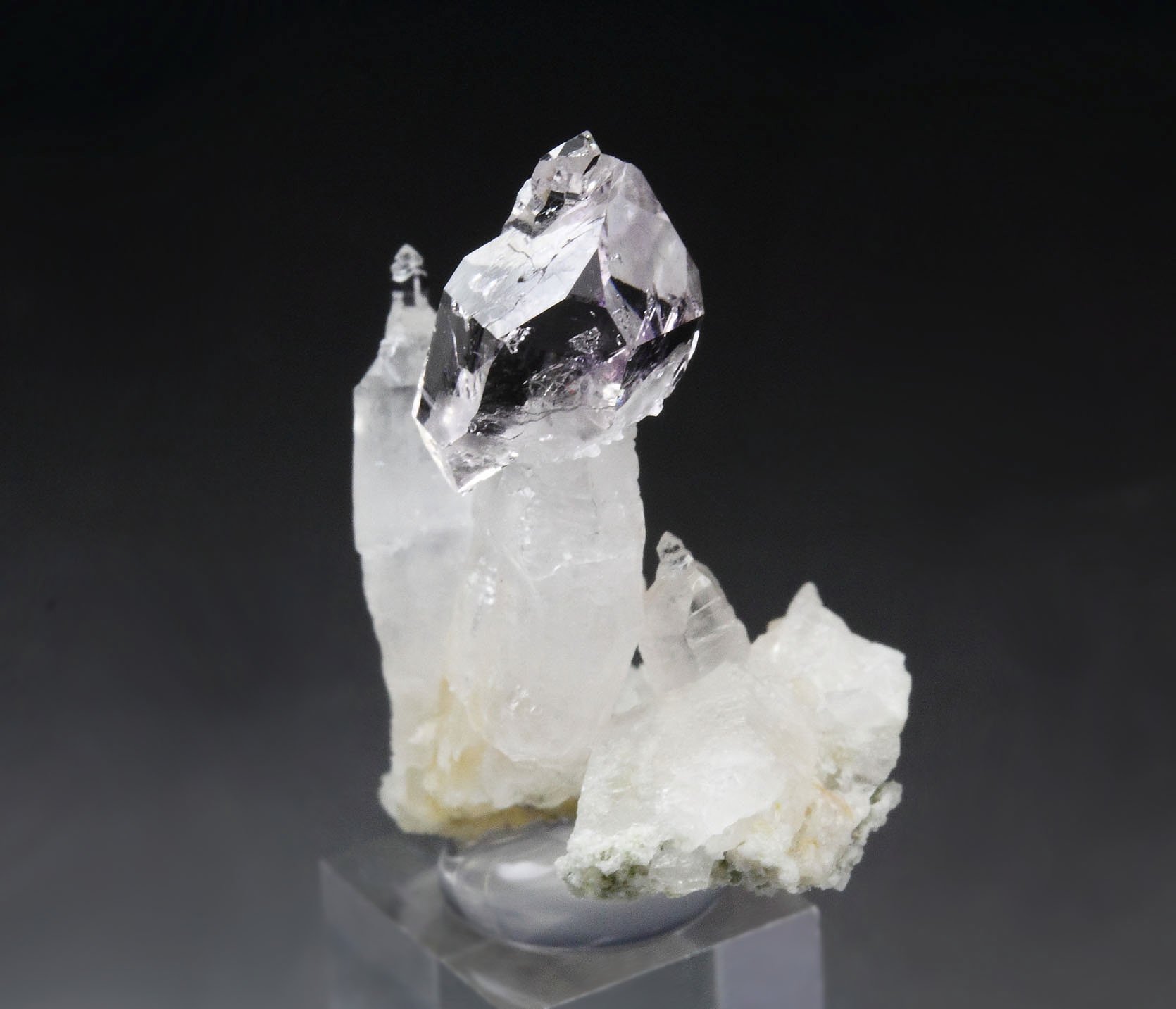 scepter QUARTZ