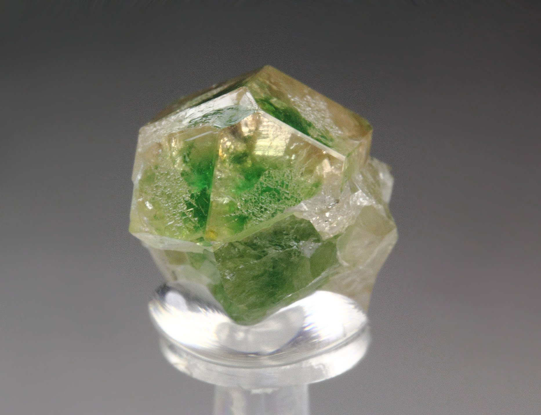 gem GARNET var. GROSSULAR with GREEN CHROMIAN PHANTOMS