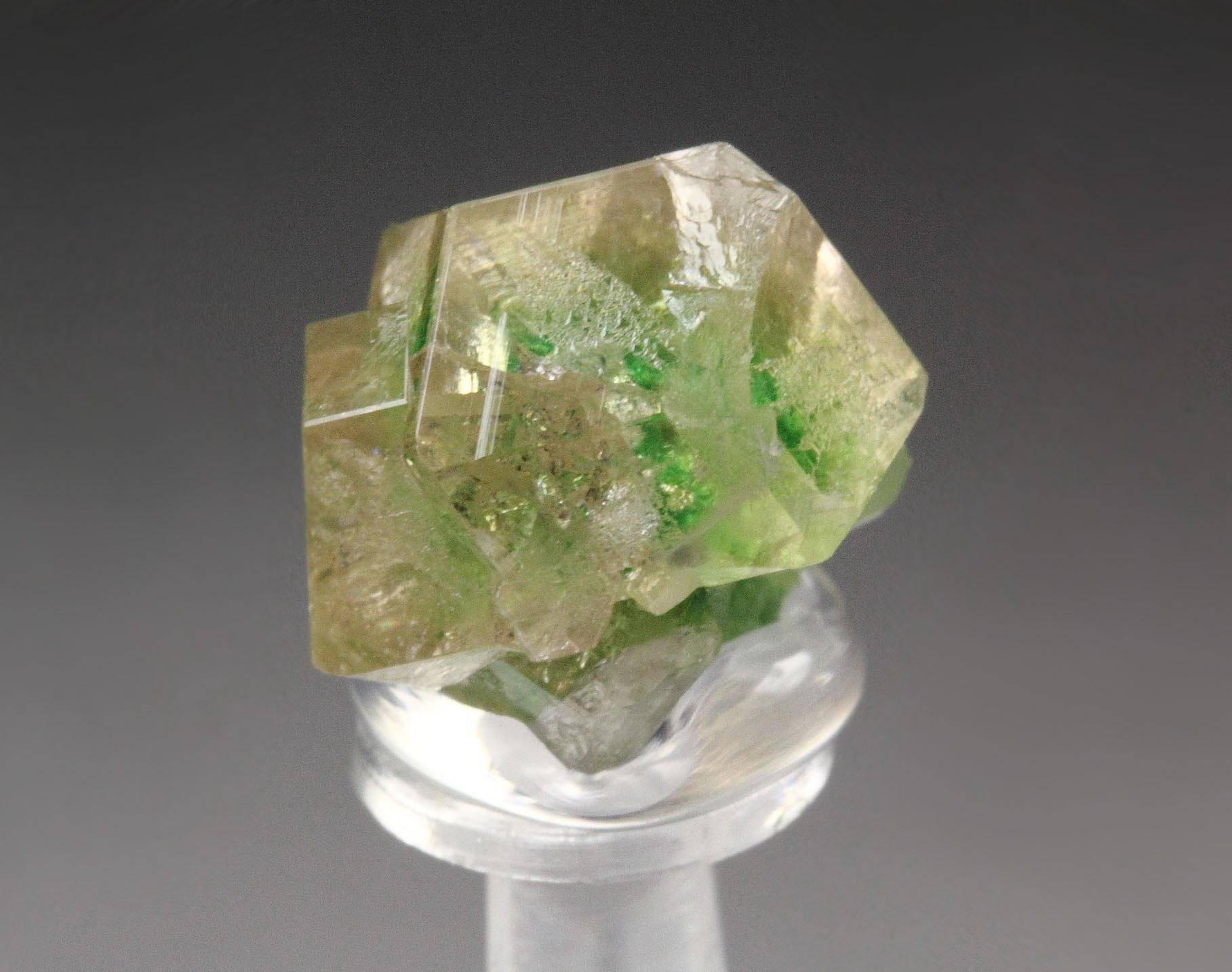 gem GARNET var. GROSSULAR with GREEN CHROMIAN PHANTOMS