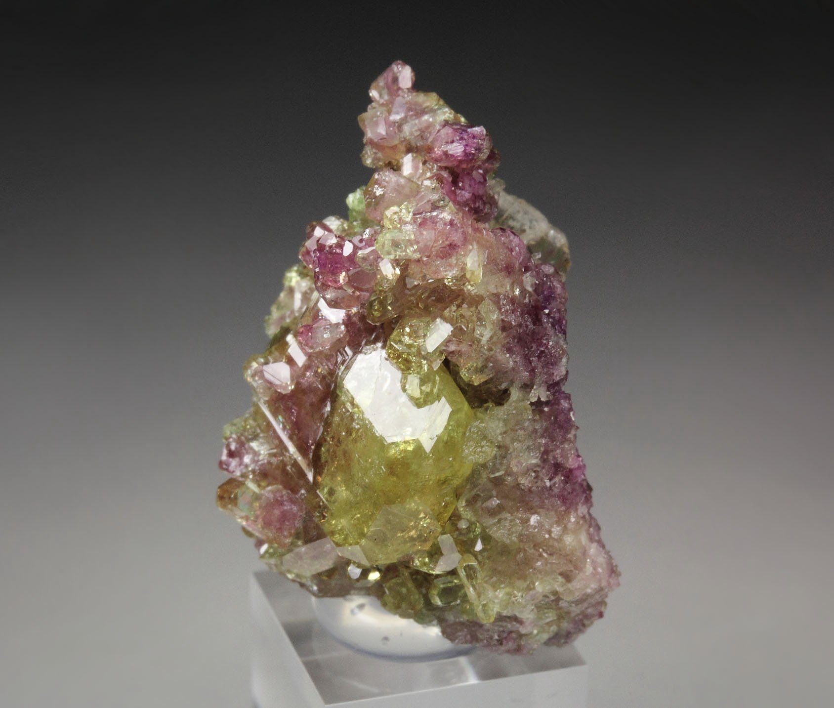 gem VESUVIANITE bi-color, DIOPSIDE