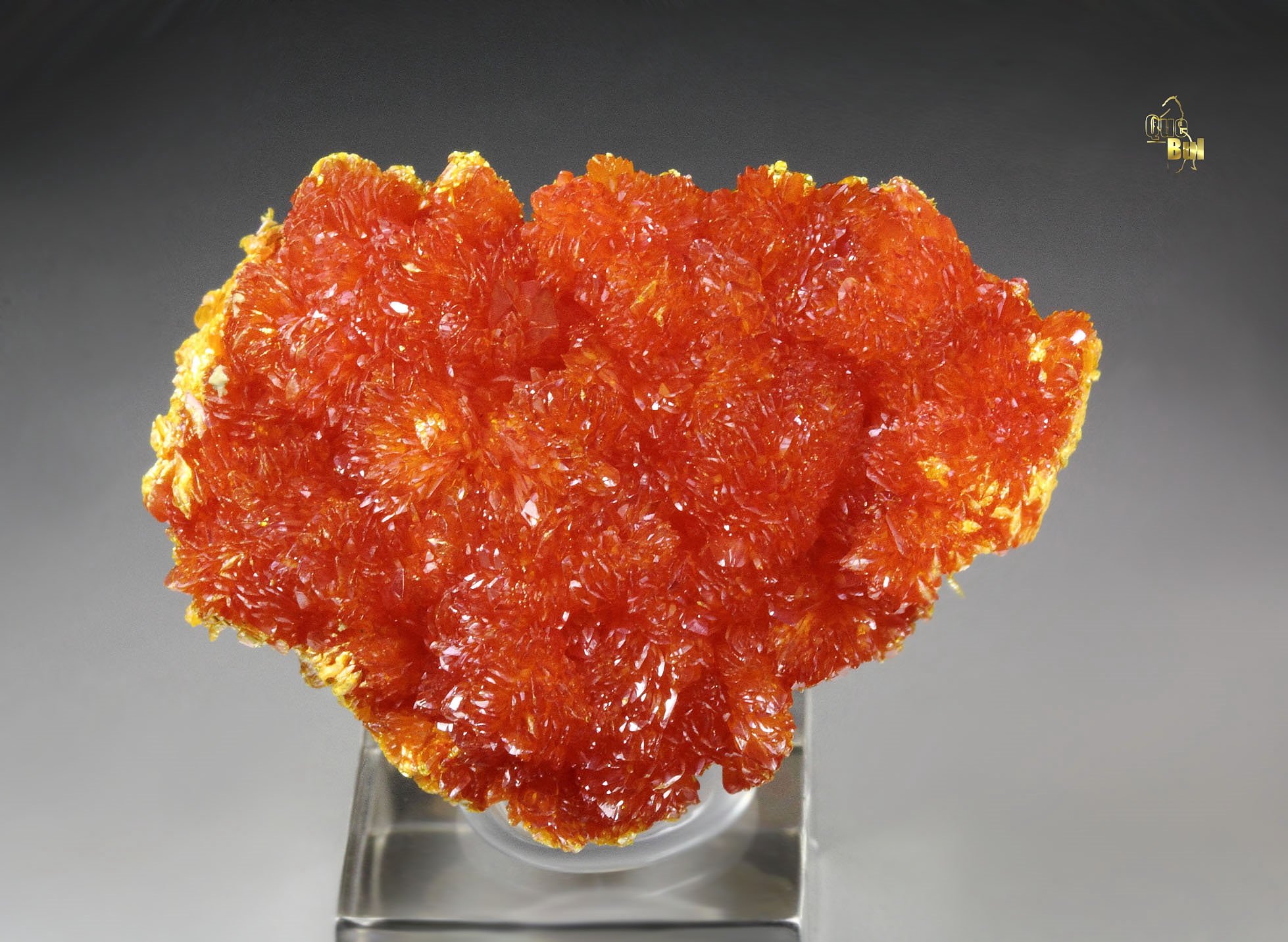 ORPIMENT